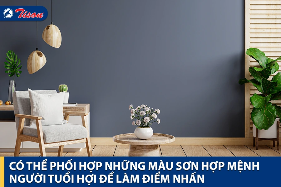 Chọn màu sắc phù hợp người tuổi Hợi năm 2023