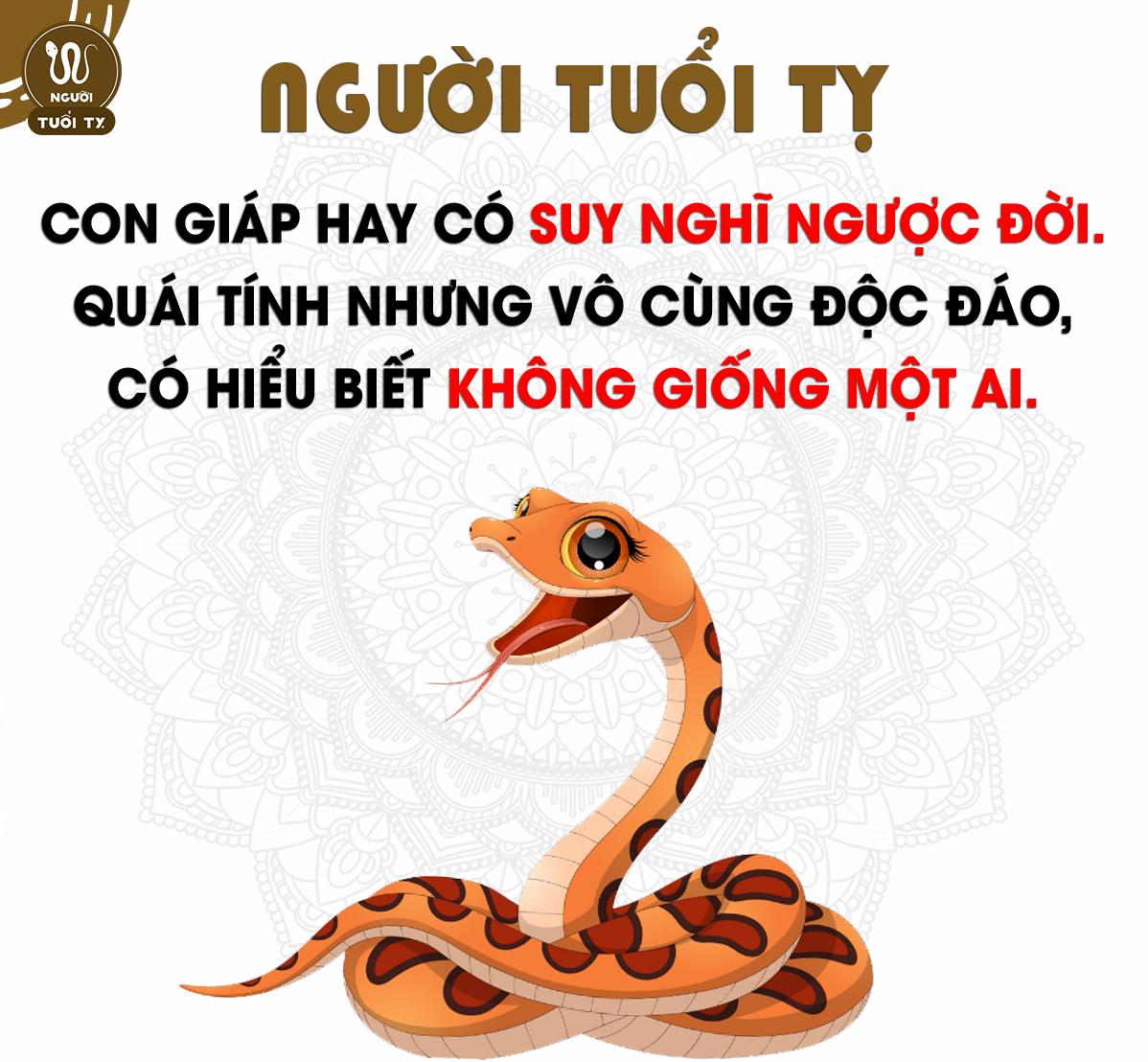 tuoi-ty-hop-mau-gi-11