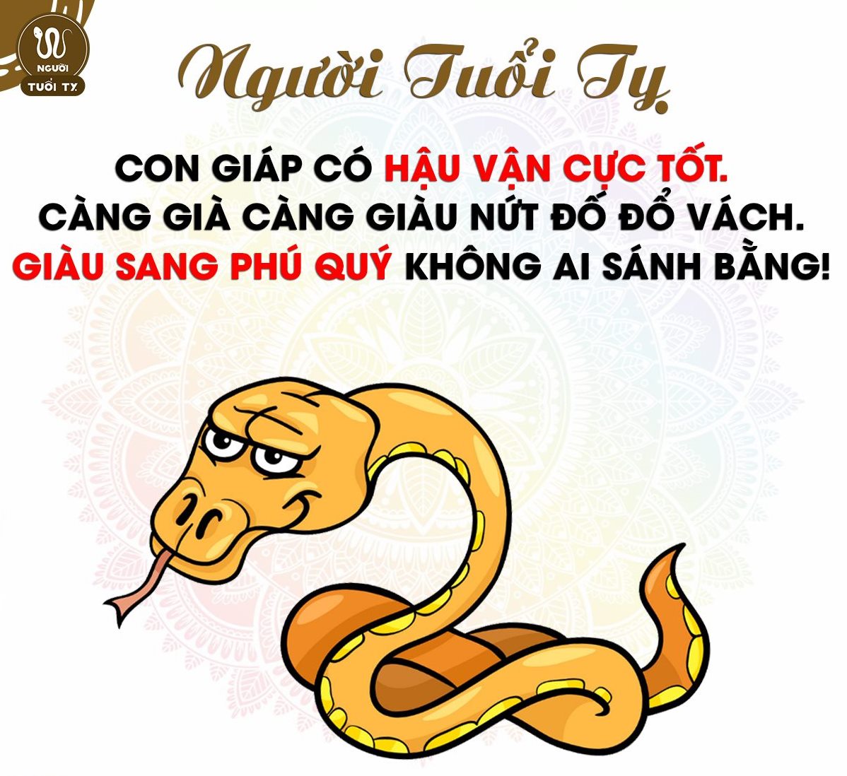 tuoi-ty-hop-mau-gi-16