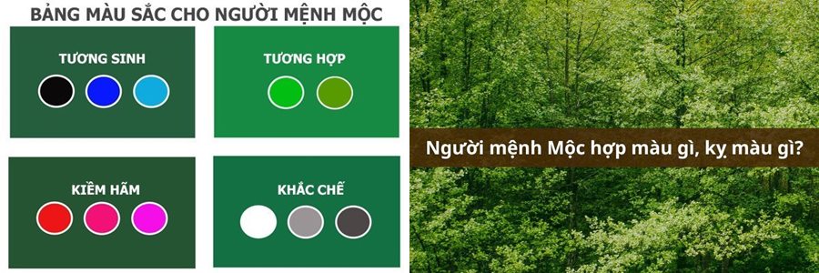 tuoi-ty-hop-mau-gi-45