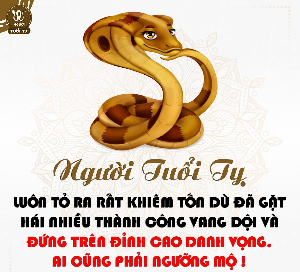 tuoi-ty-hop-mau-gi-15