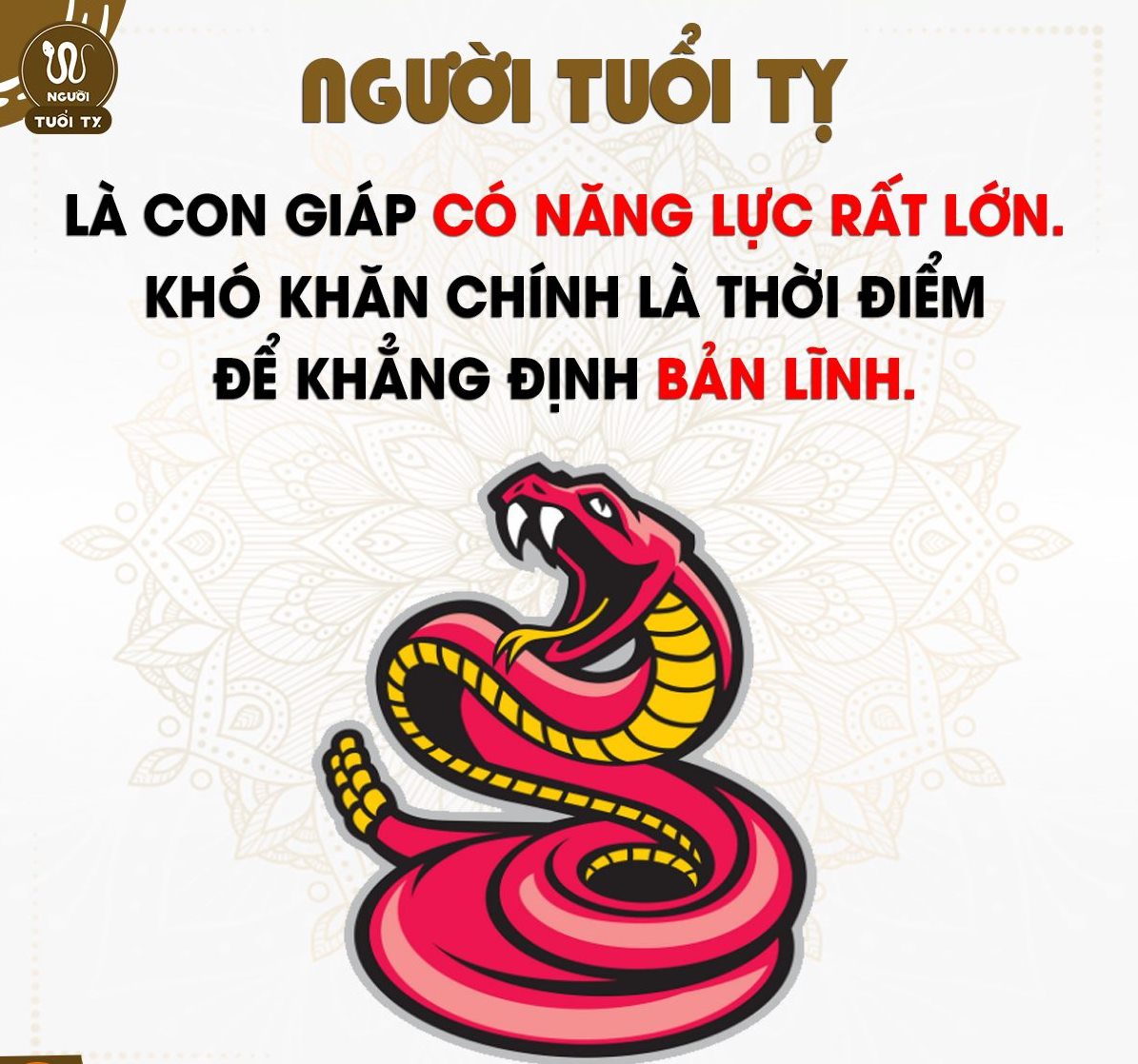 tuoi-ty-hop-mau-gi-13
