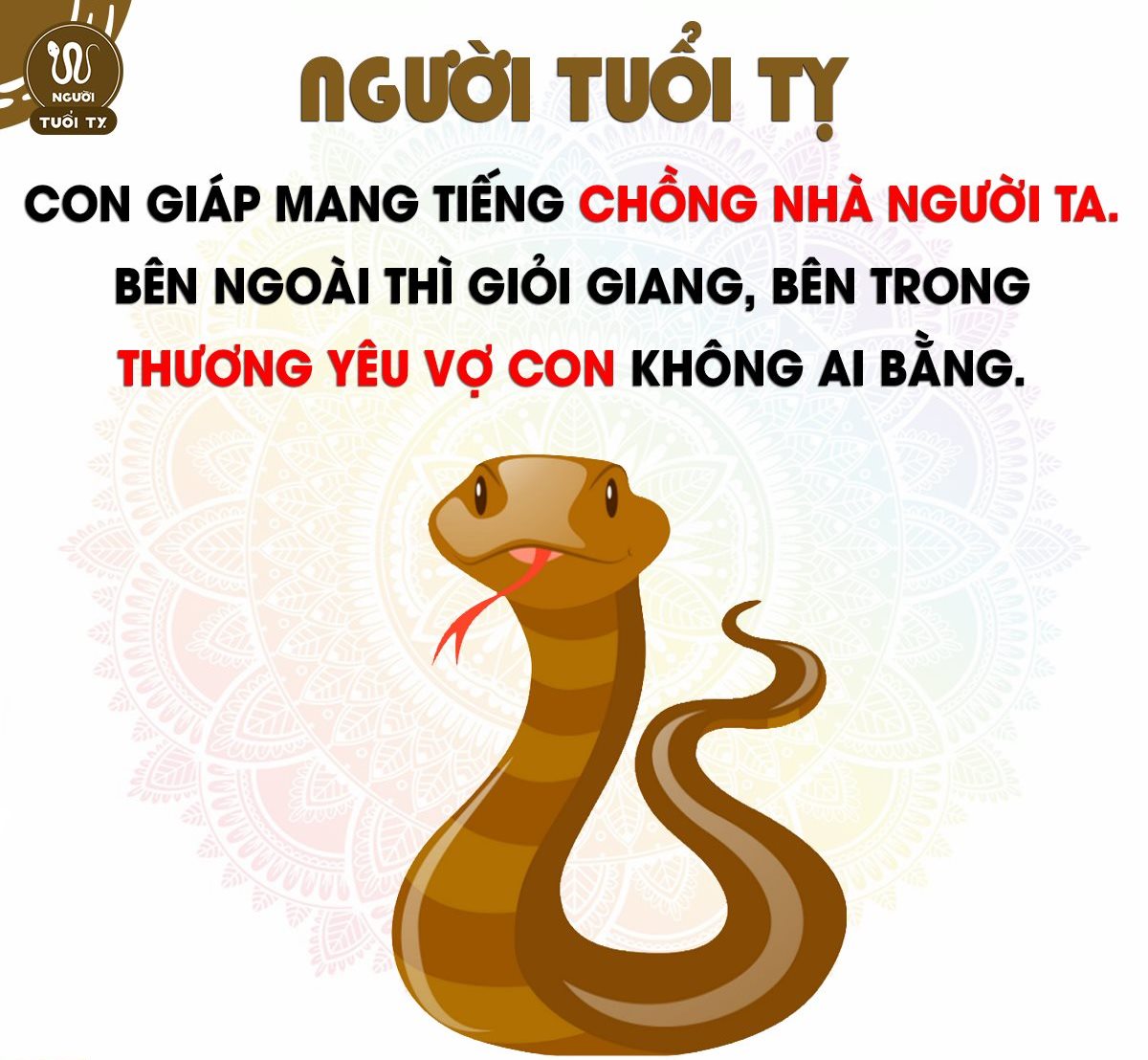 tuoi-ty-hop-mau-gi-14
