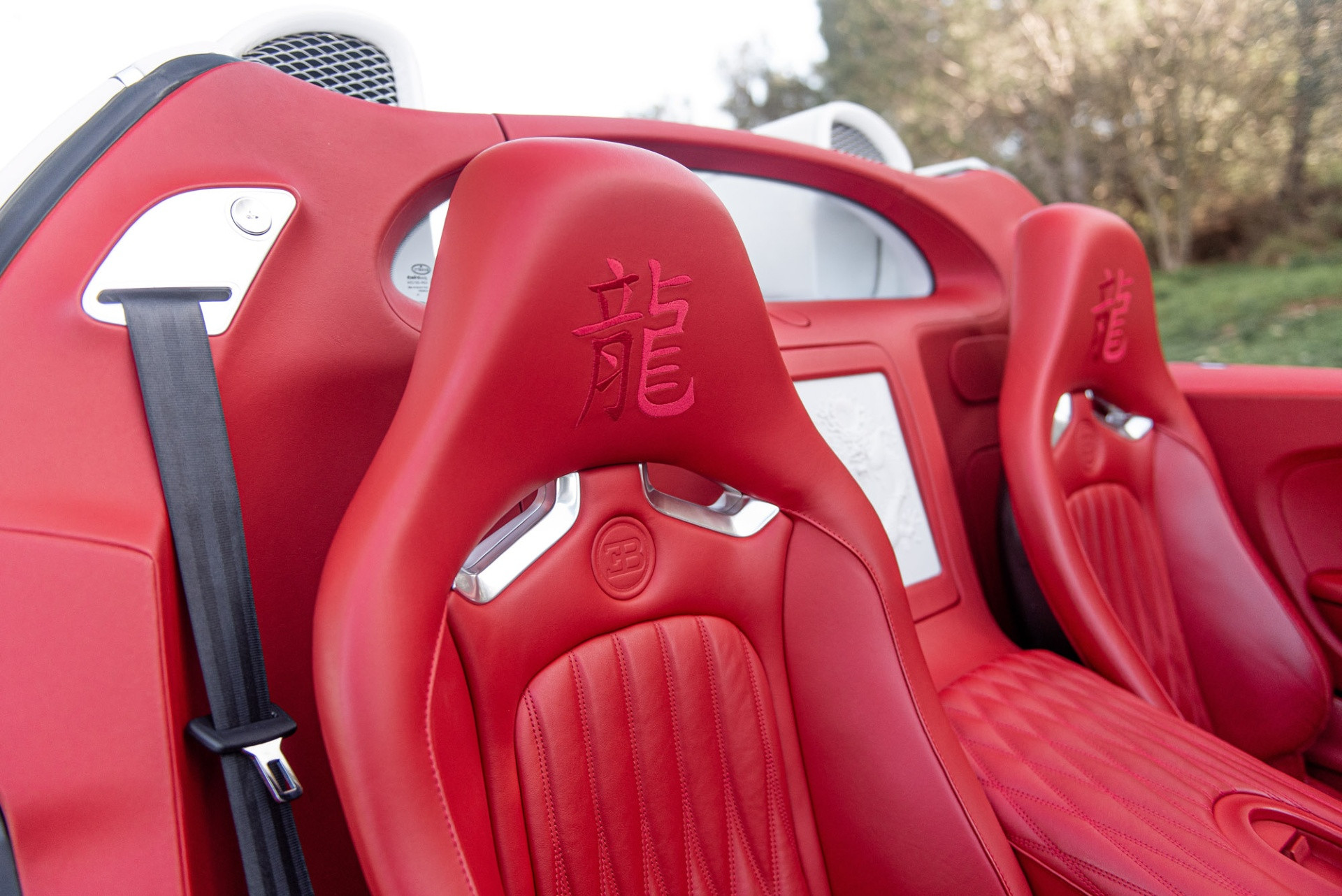 bugatti veyron 8.jpg