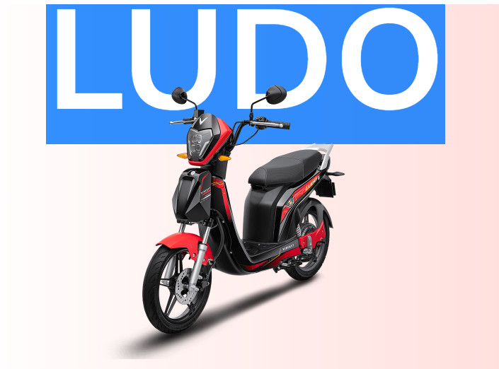 Giá Xe đạp điện Vinfast Impes khoảng dưới 15 Triệu