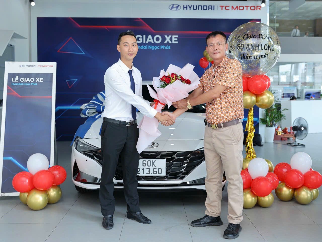 Elantra Tiêu chuẩn và Đặc biệt