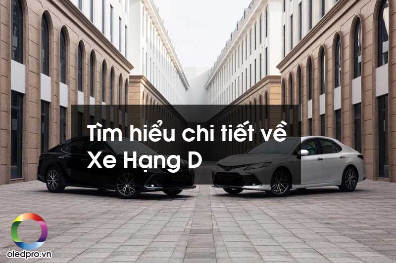 Xe Hạng D
