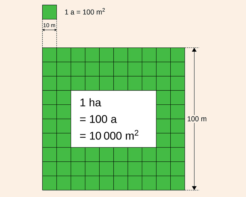 1 ha là bao nhiêu m2?