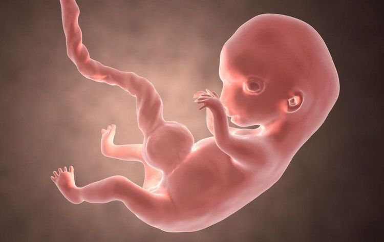 Virus viêm gan B lây truyền từ mẹ sang con