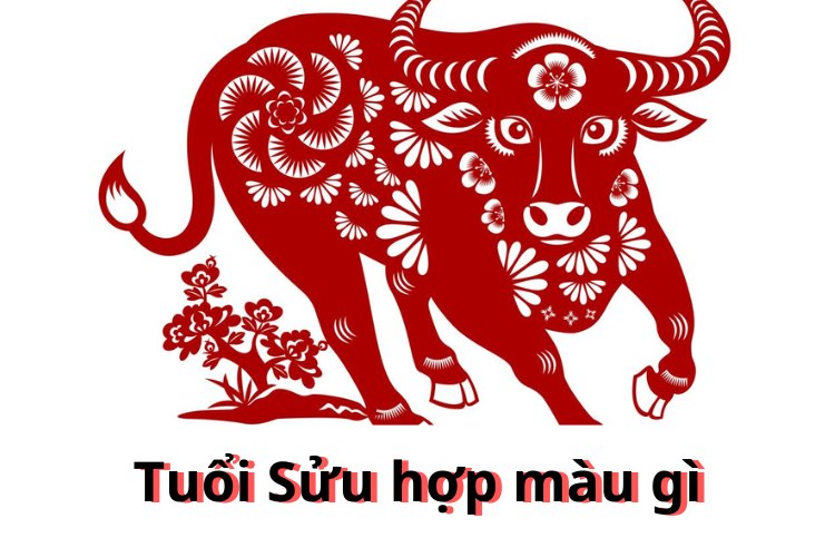 Tuổi Quý Sửu sơn màu gì?