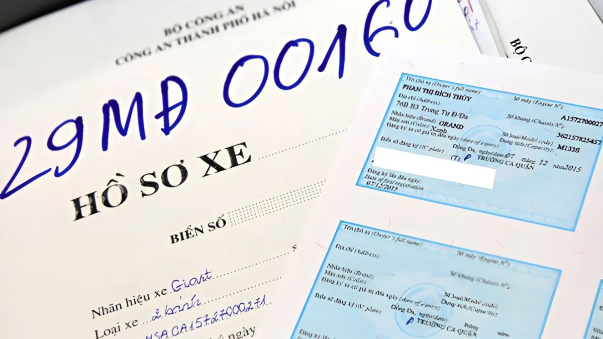 Biển số xe 65 là tỉnh nào? Thông tin đáng chú ý về biển số 65 tỉnh Cần Thơ