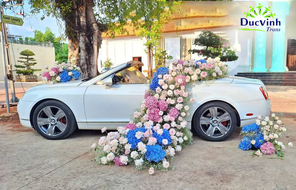 Cho Thuê Xe Cưới Bentley Mui Trần Siêu Sang