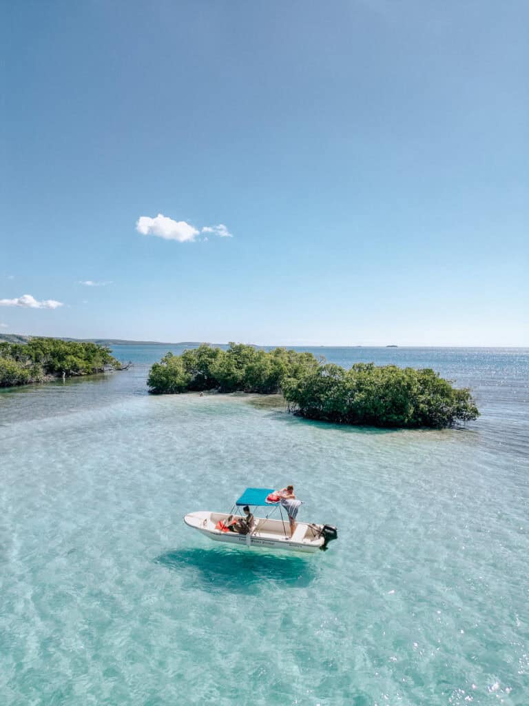 small. boat floating in crystal clear blue water with mangroves in background in la paguera puerto rico