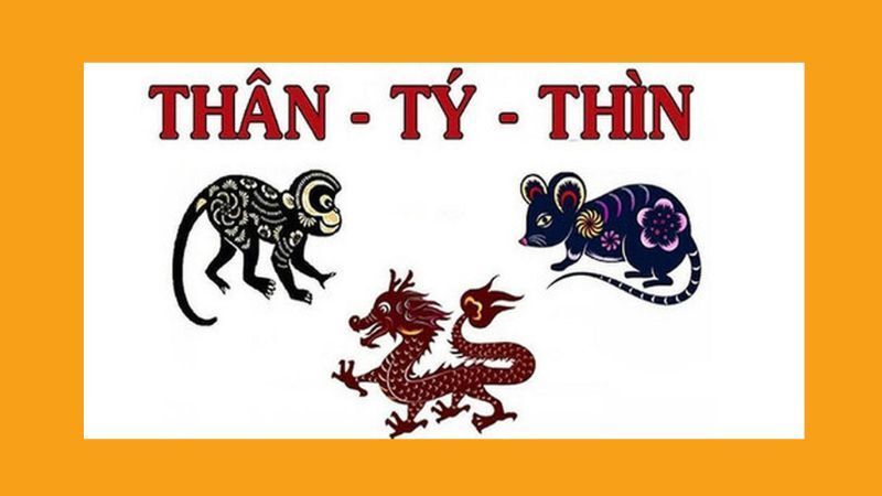 phạm tam tai có làm nhà được không