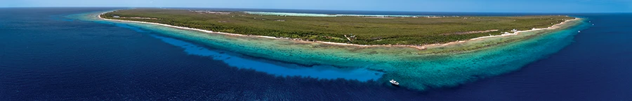 Feeling Groovy in Little Cayman