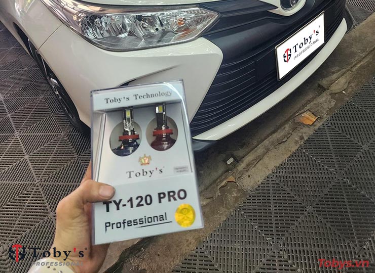 Bóng Led Toby