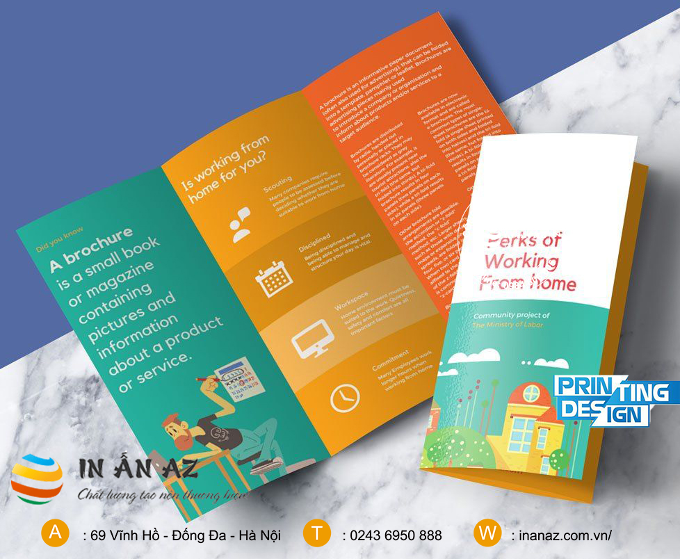 Mẫu Brochure đẹp