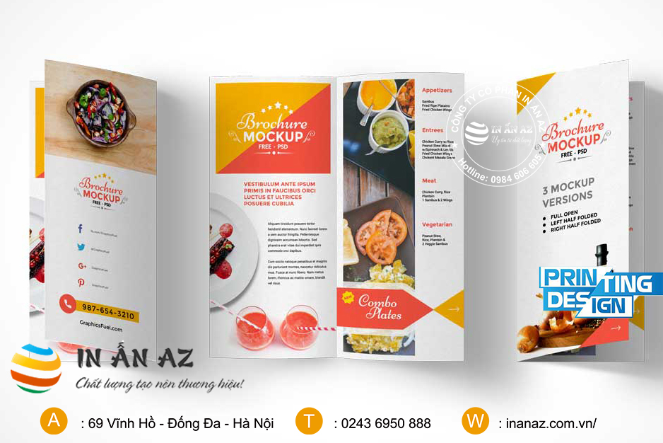 Mẫu Brochure đẹp