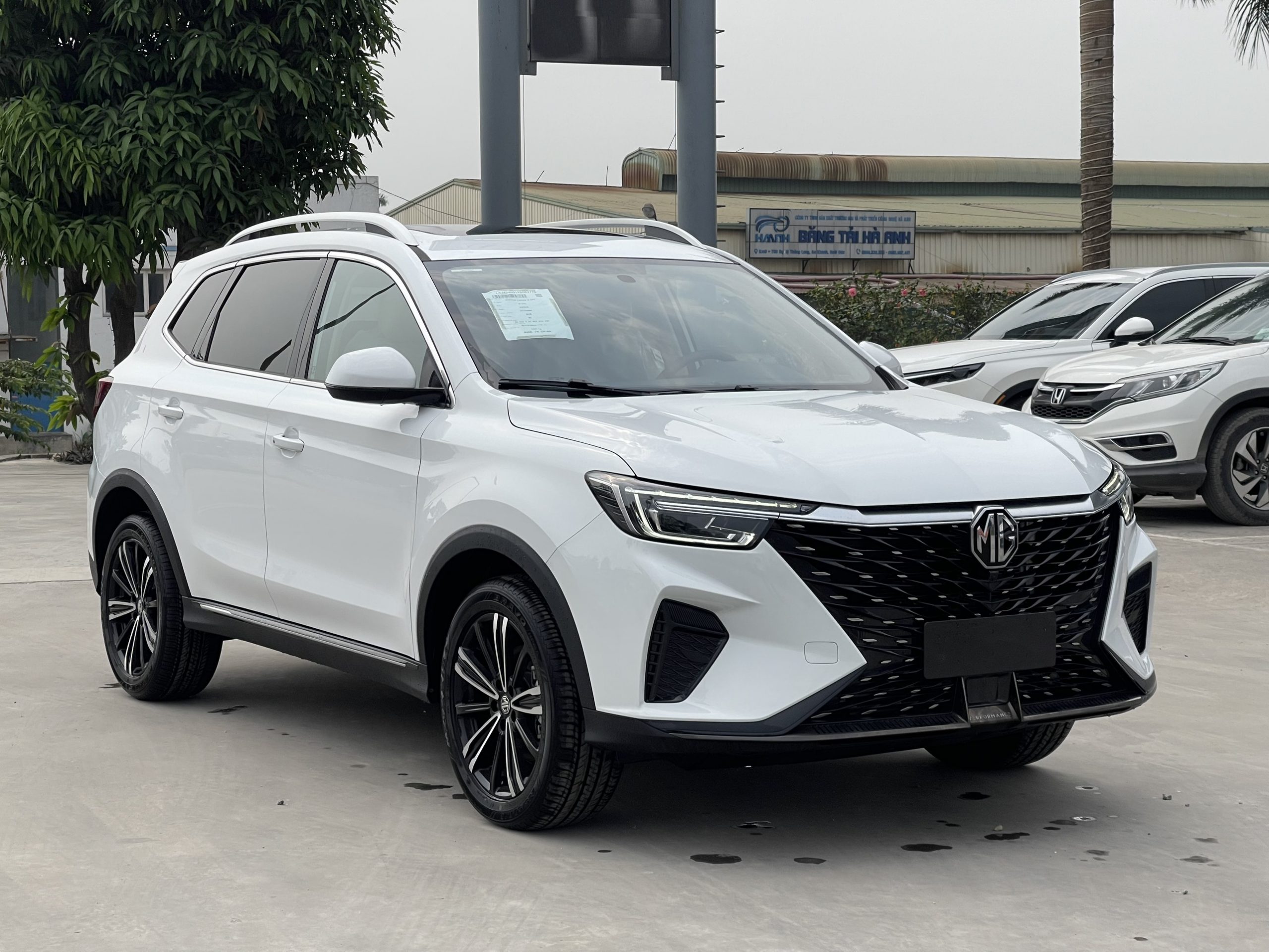 xe mg 5 chỗ gầm cao