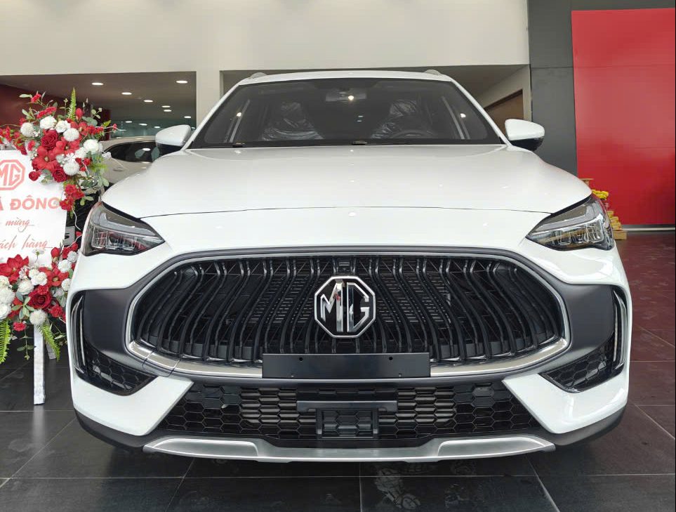 mg hs del