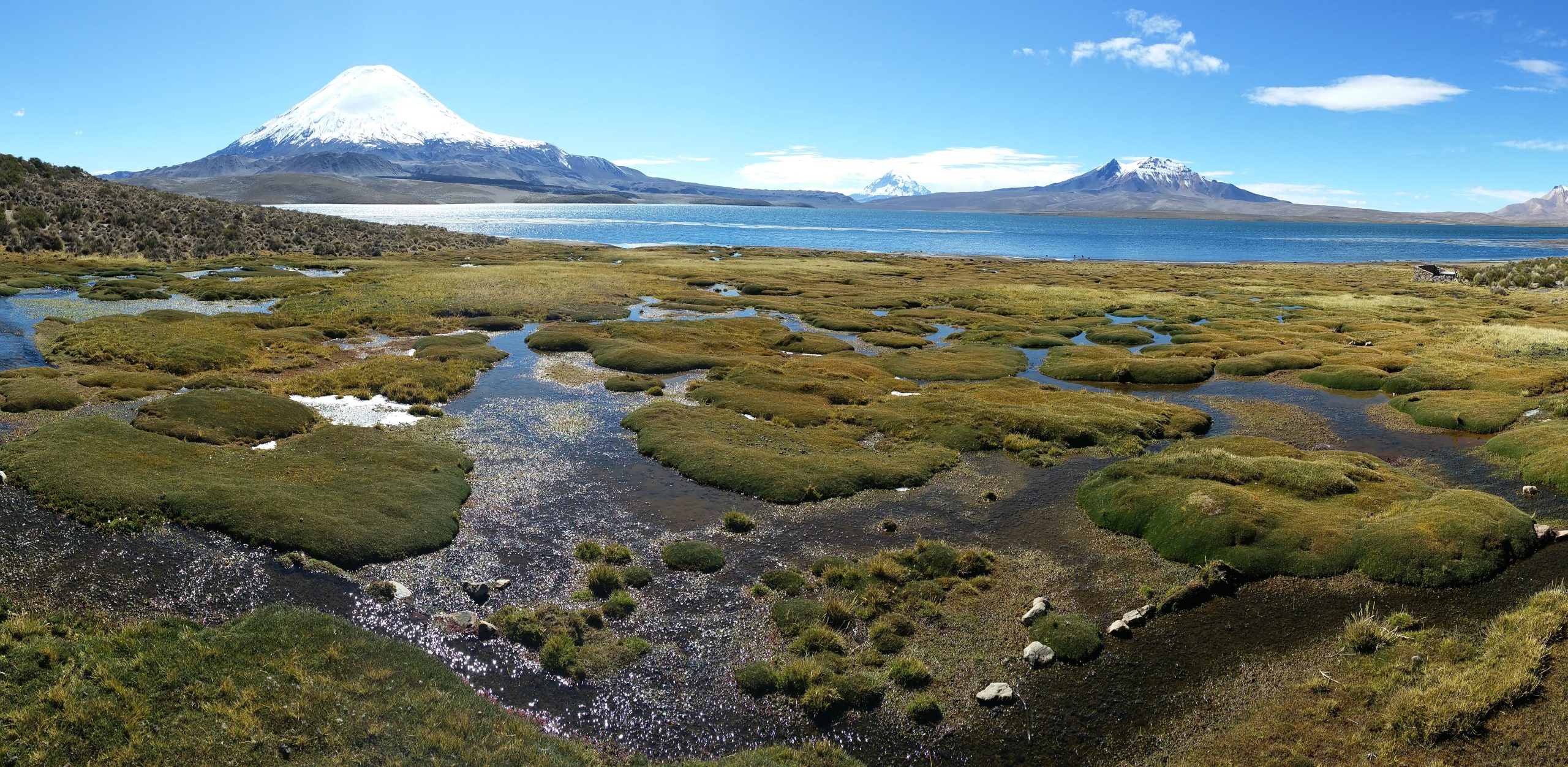 Lauca National Park
