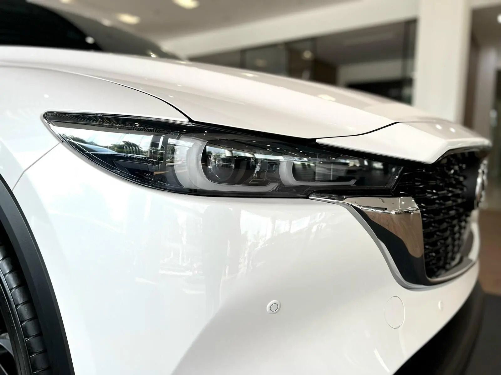 cx5 deluxe 2023