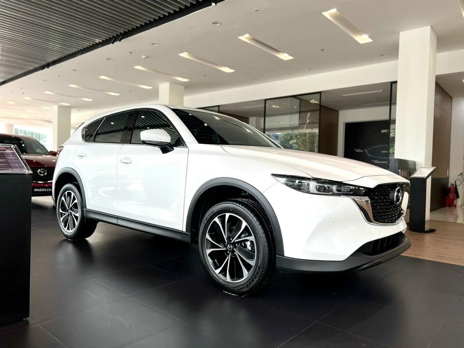 Cx5 Deluxe