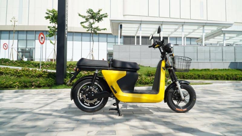 Xe Selex Camel vàng - Sự lựa chọn sáng giá cho người mệnh Kim