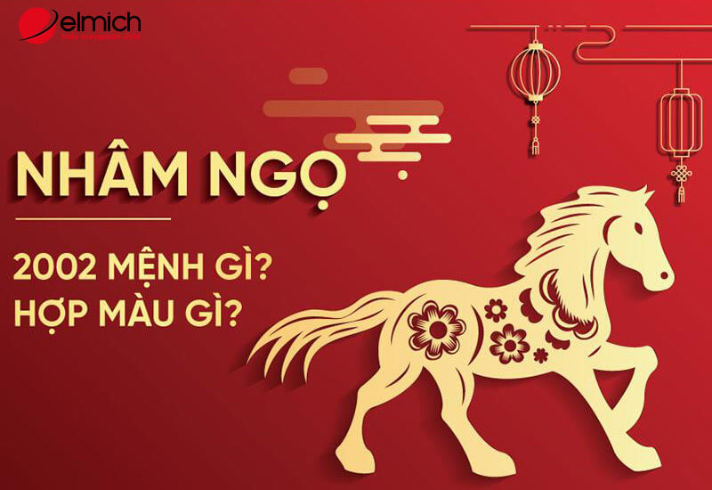 Hình 3: Sinh năm 2002 hợp màu gì bạn đã biết chưa?