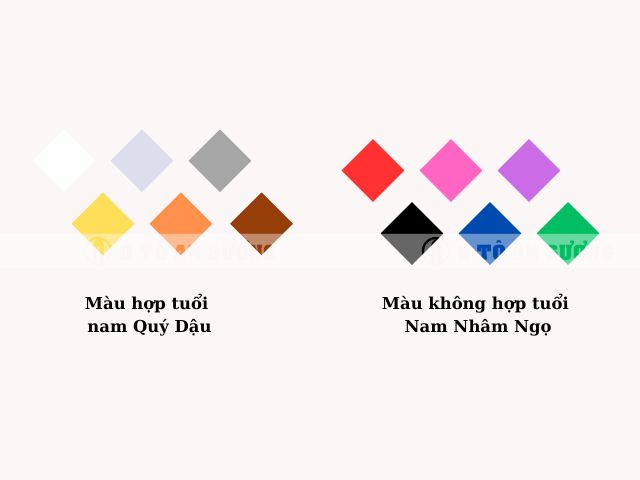 Màu sắc nên mua và nên tránh của nam tuổi Quý Dậu