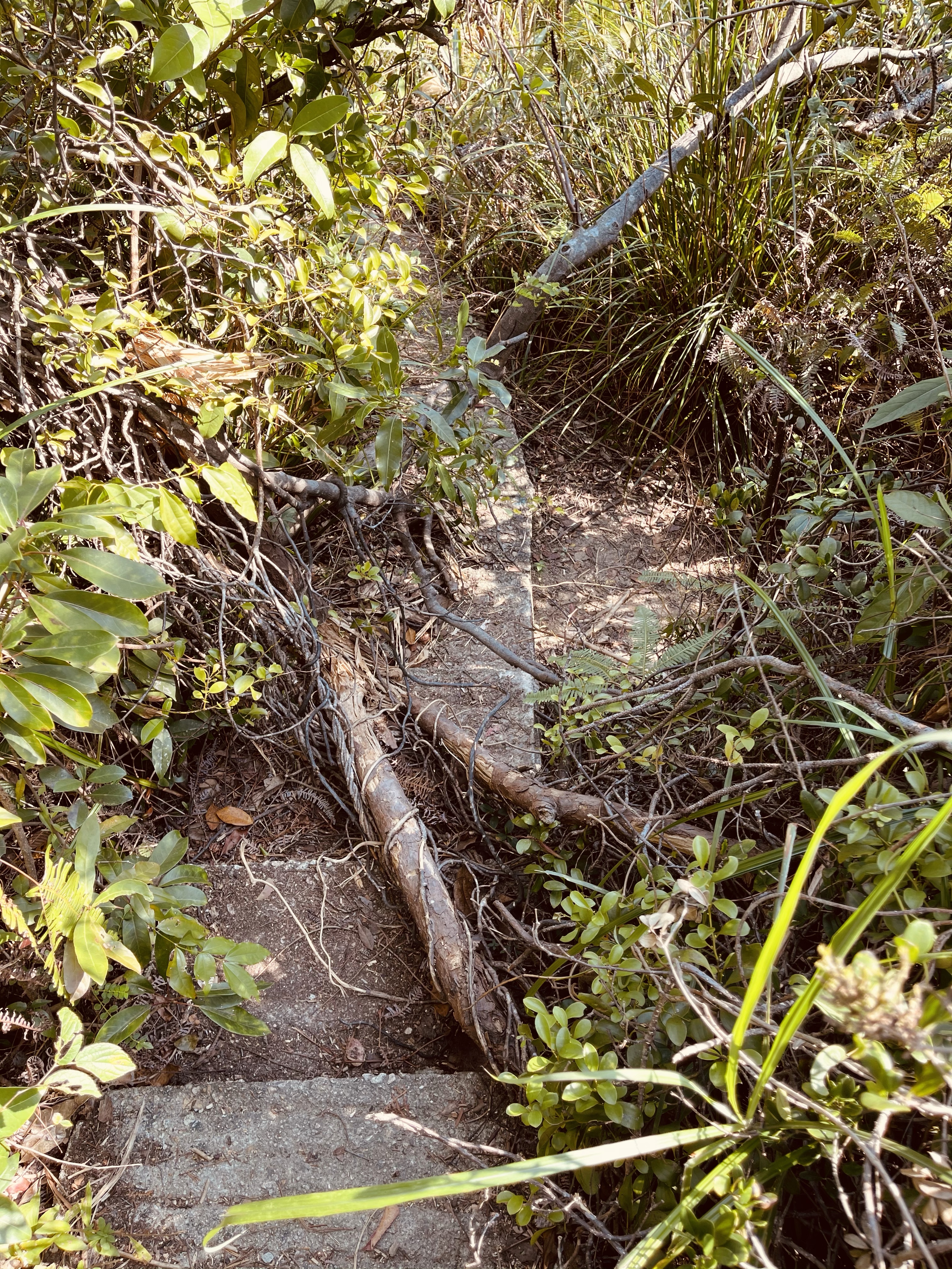 Hong Kong Hiking Lover
