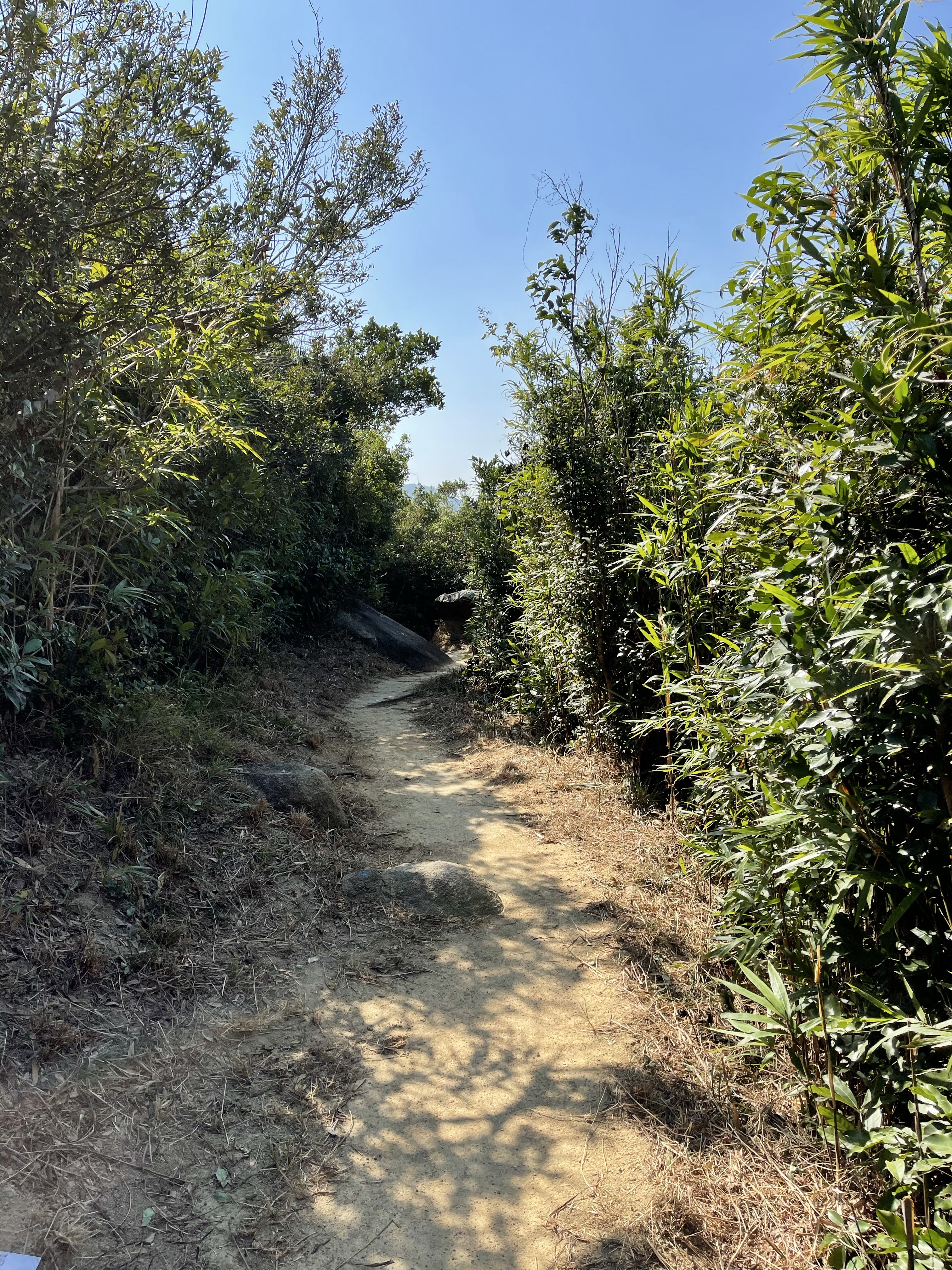 Hong Kong Hiking Lover
