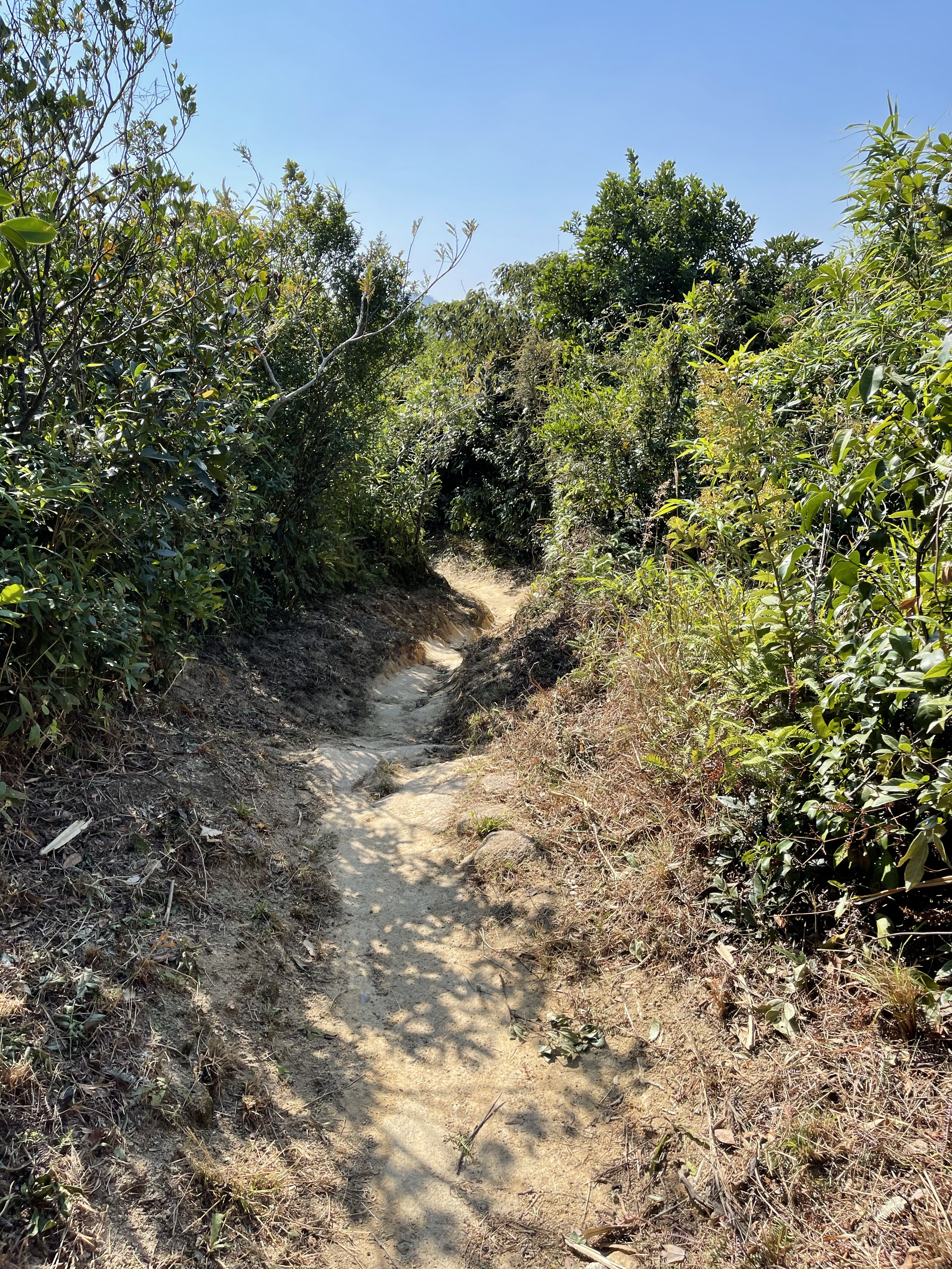 Hong Kong Hiking Lover