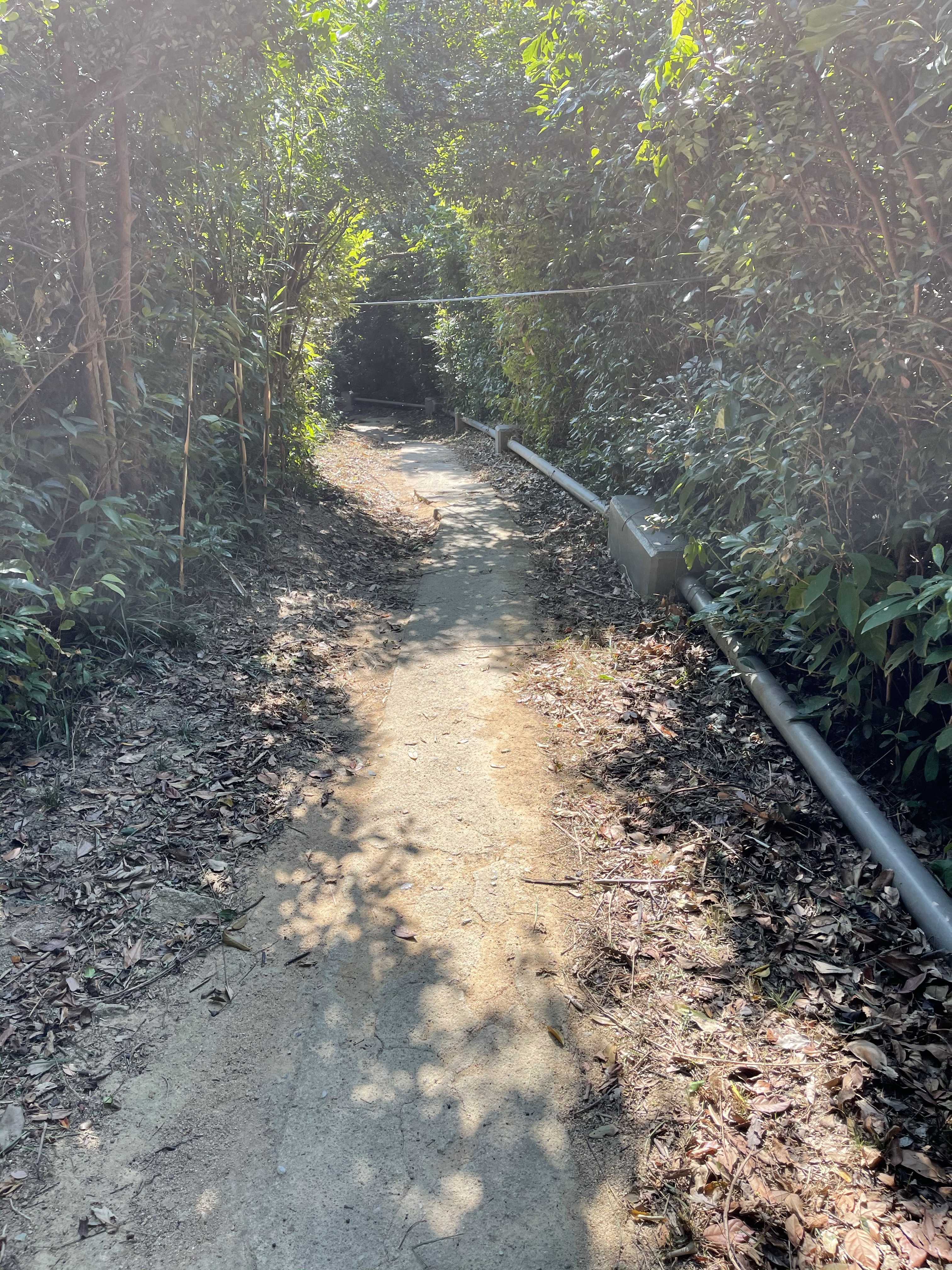 Hong Kong Hiking Lover
