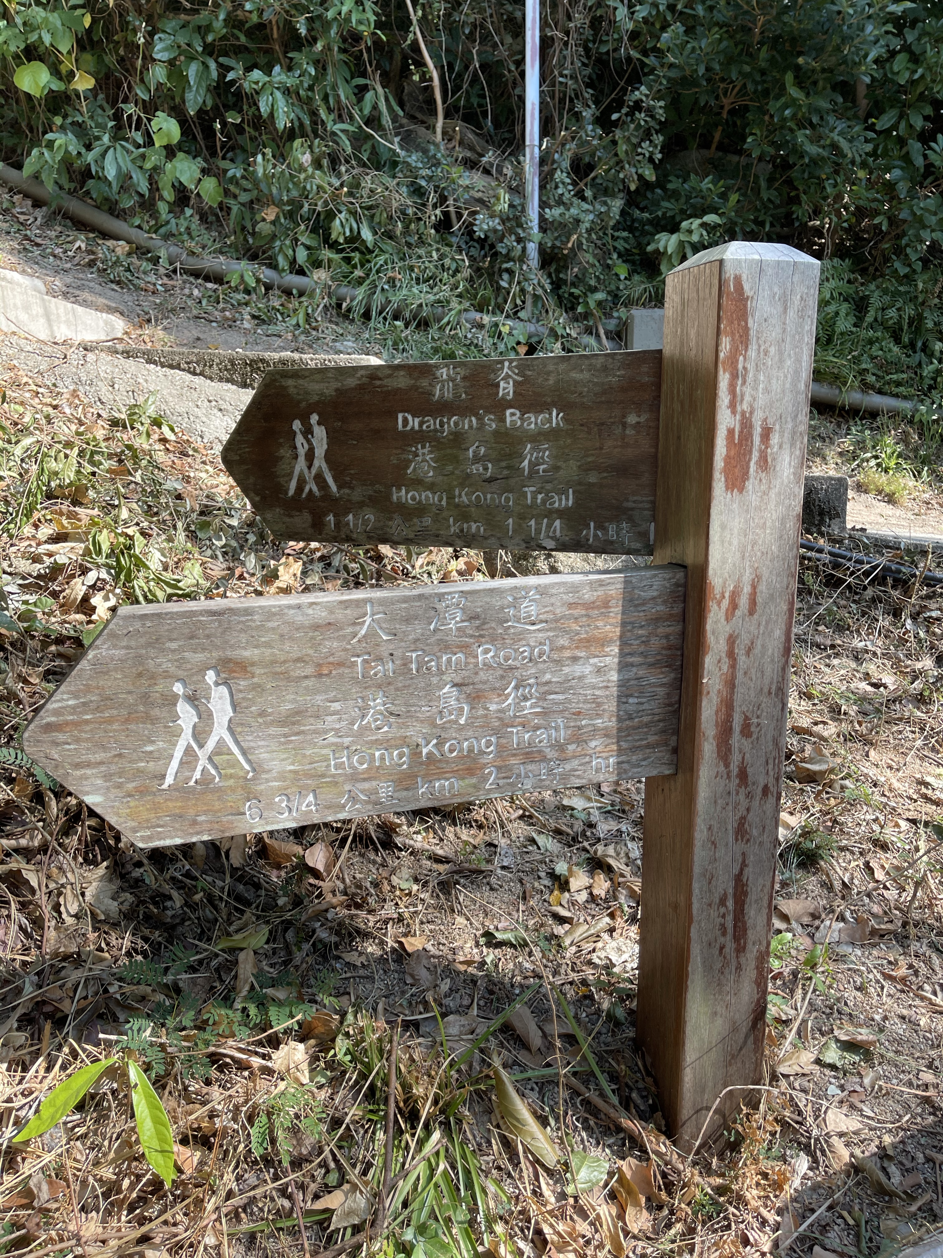 Hong Kong Hiking Lover