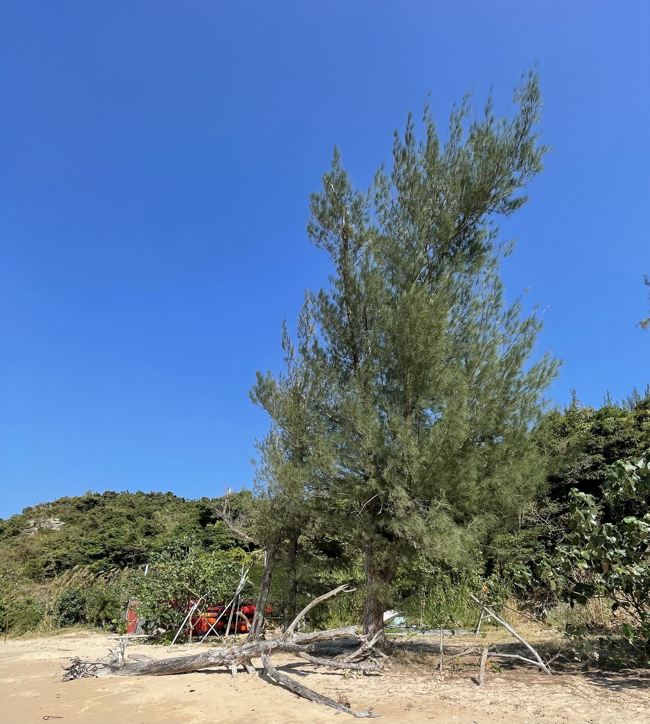 Hong Kong Hiking Lover