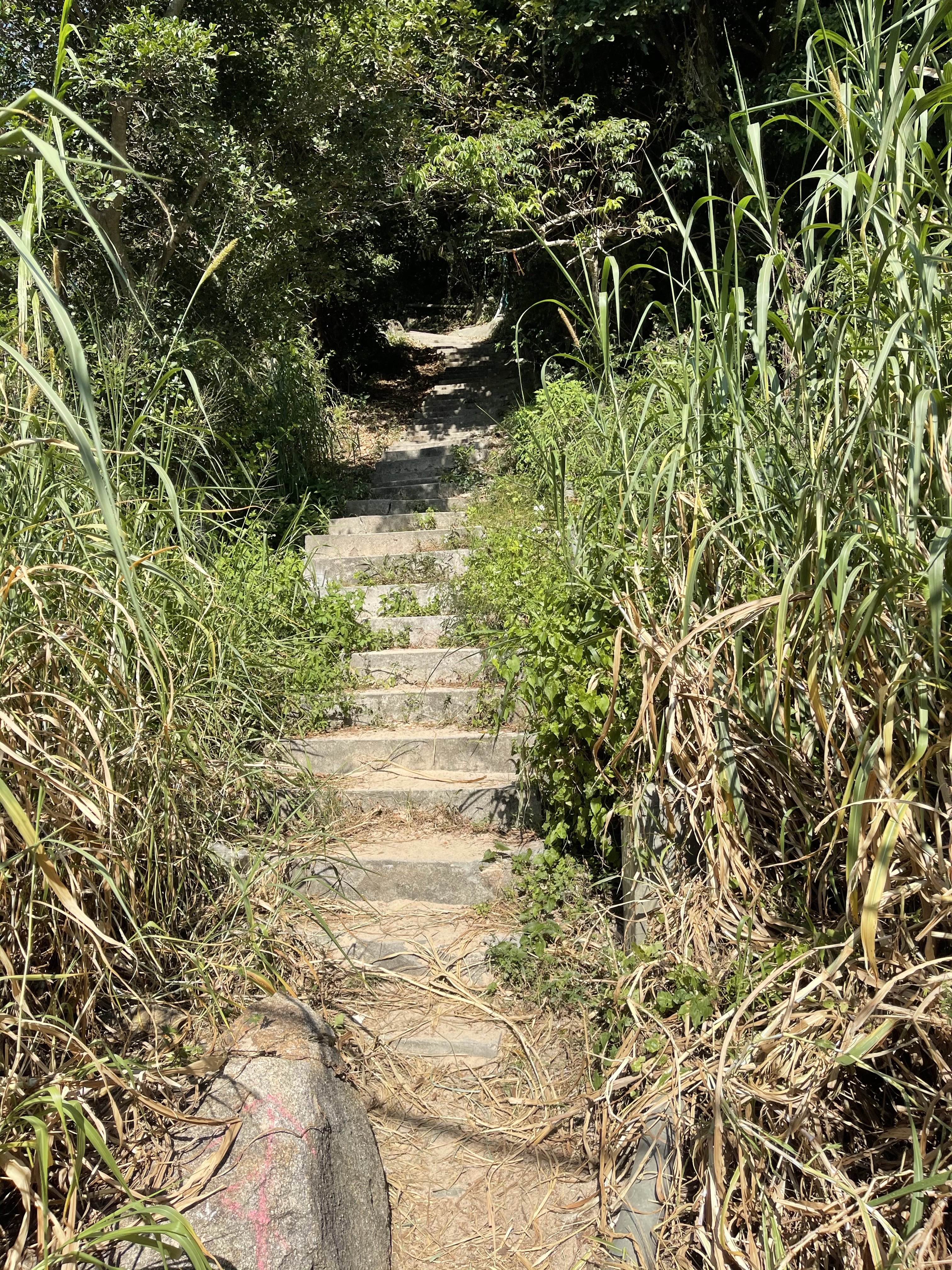 Hong Kong Hiking Lover
