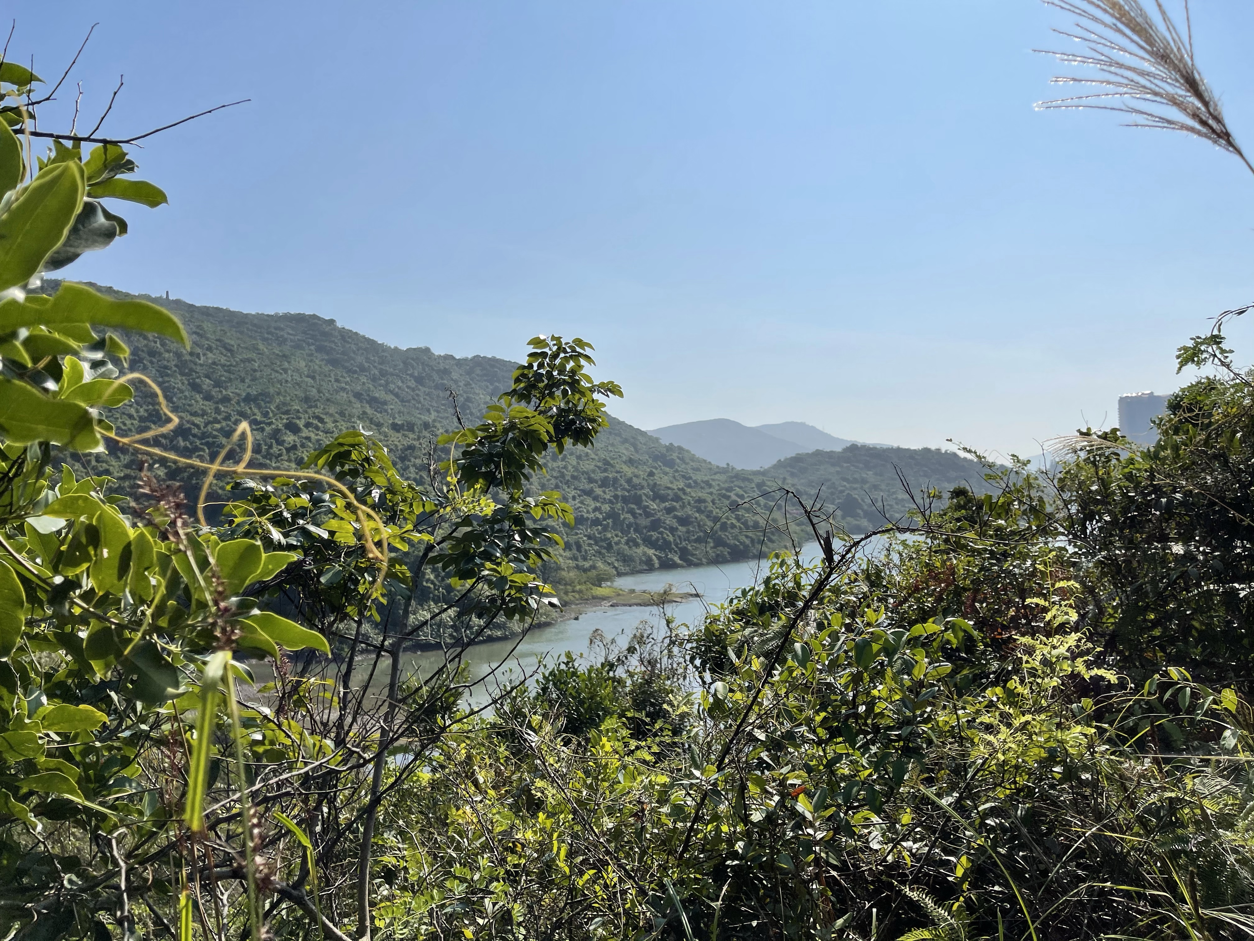 Hong Kong Hiking Lover