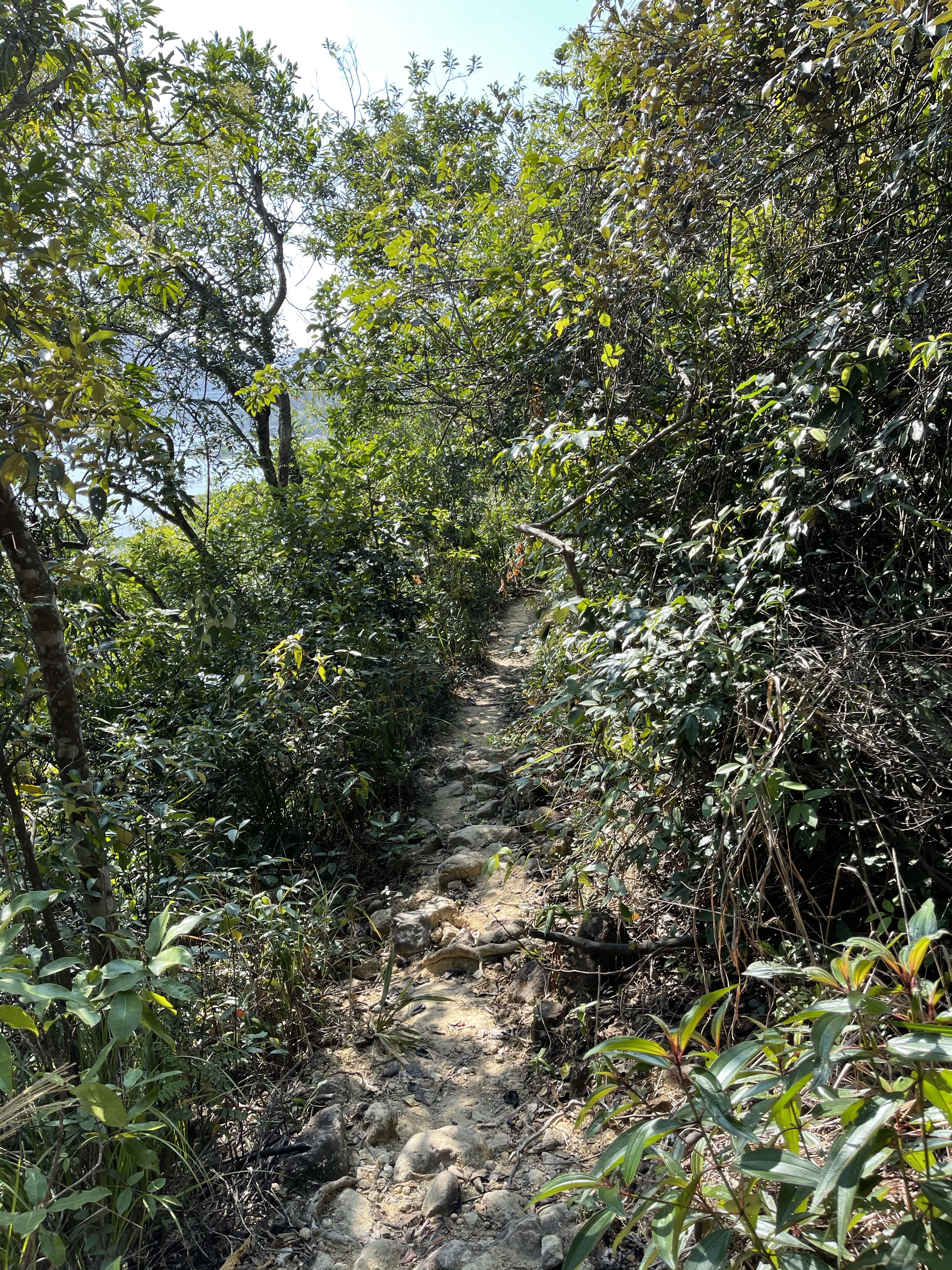 Hong Kong Hiking Lover