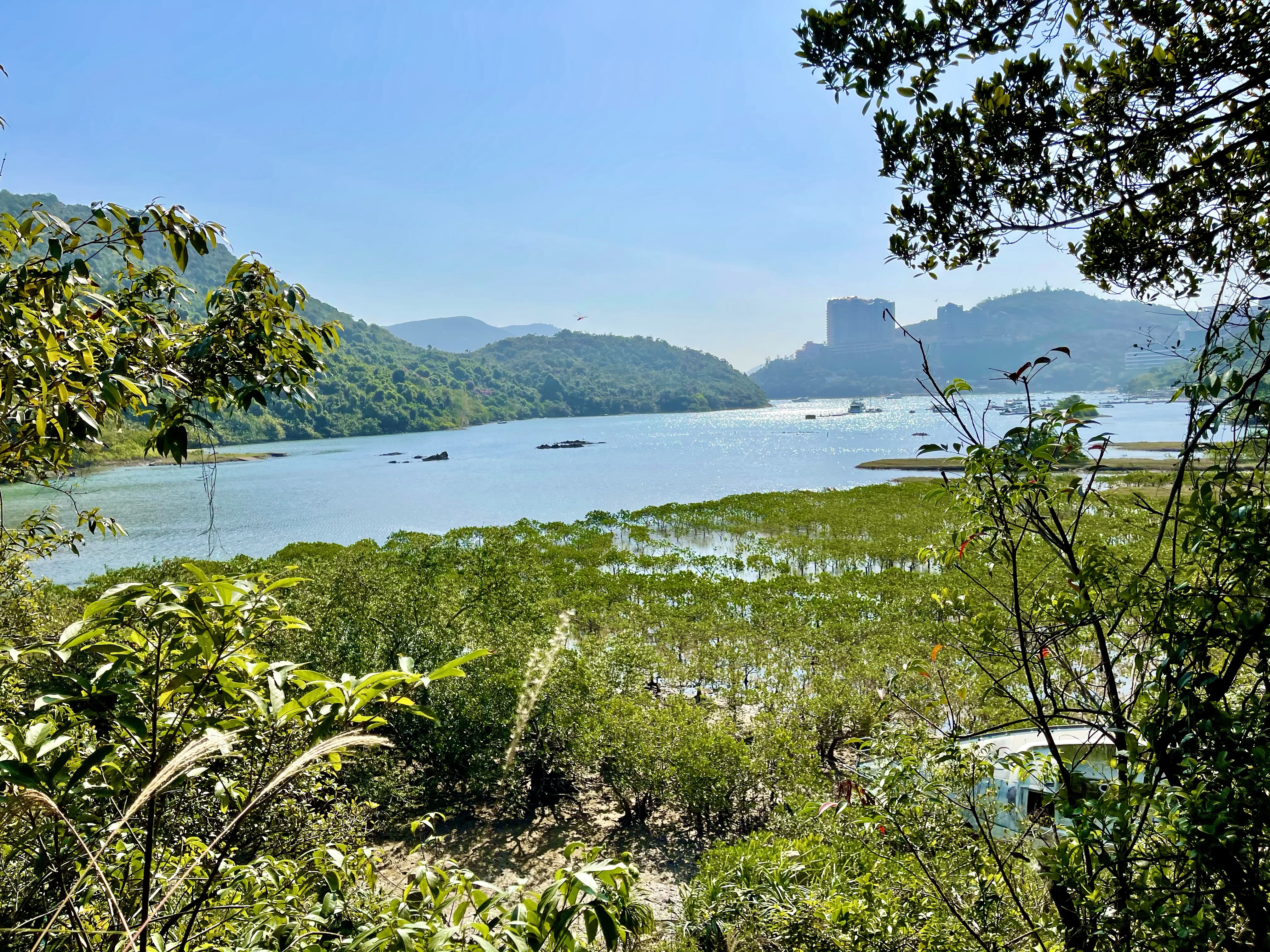 Hong Kong Hiking Lover