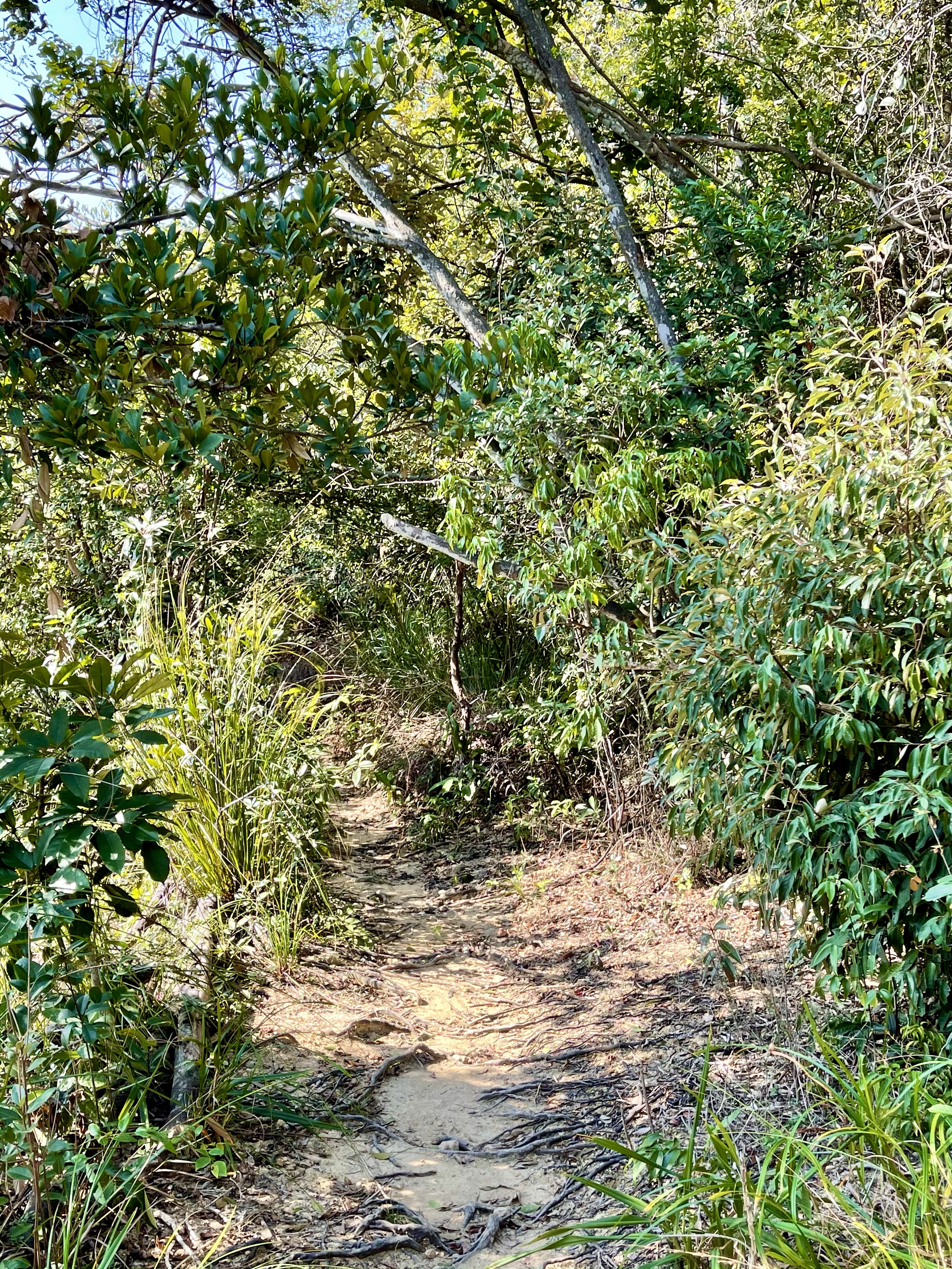 Hong Kong Hiking Lover