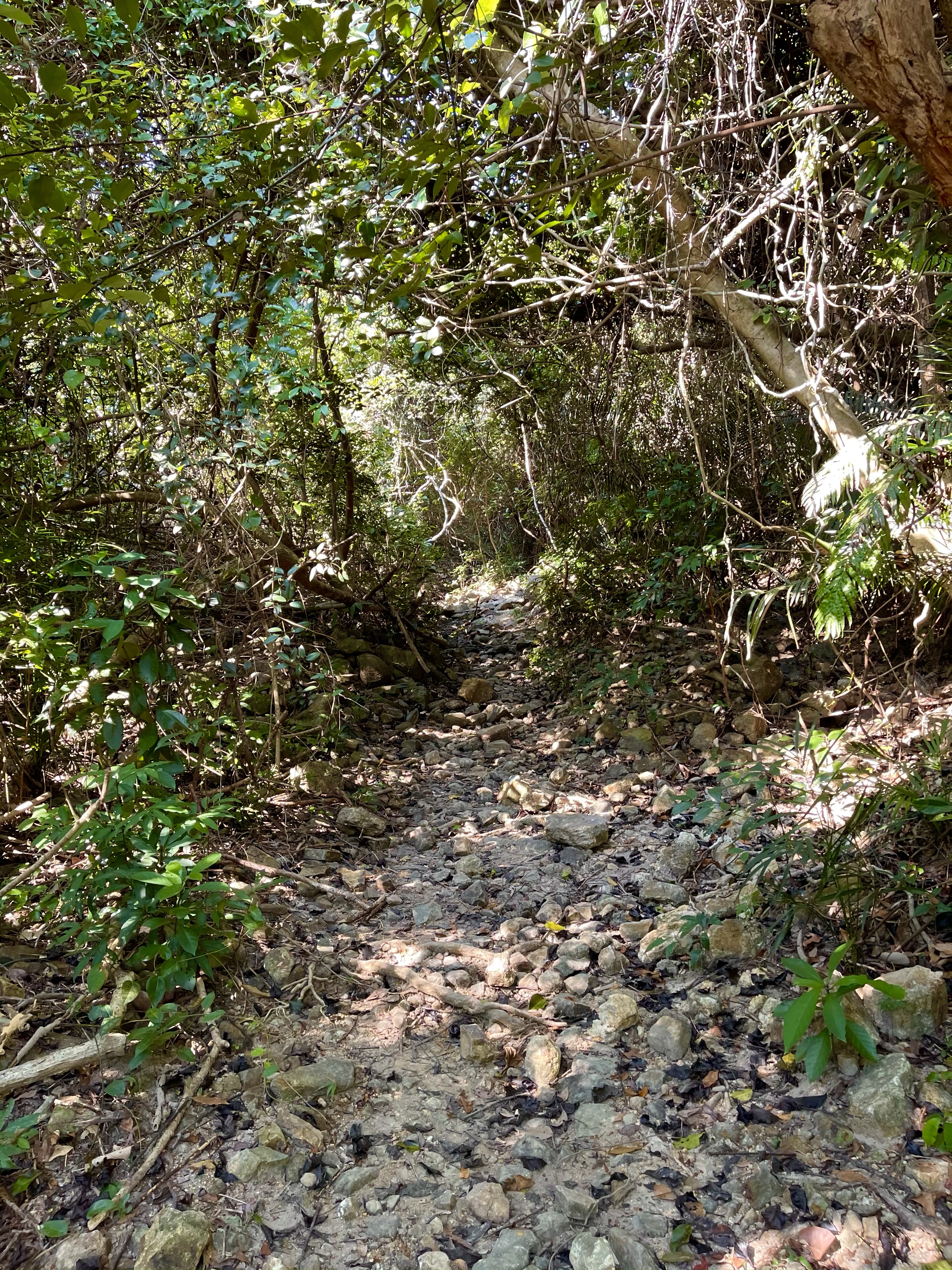 Hong Kong Hiking Lover