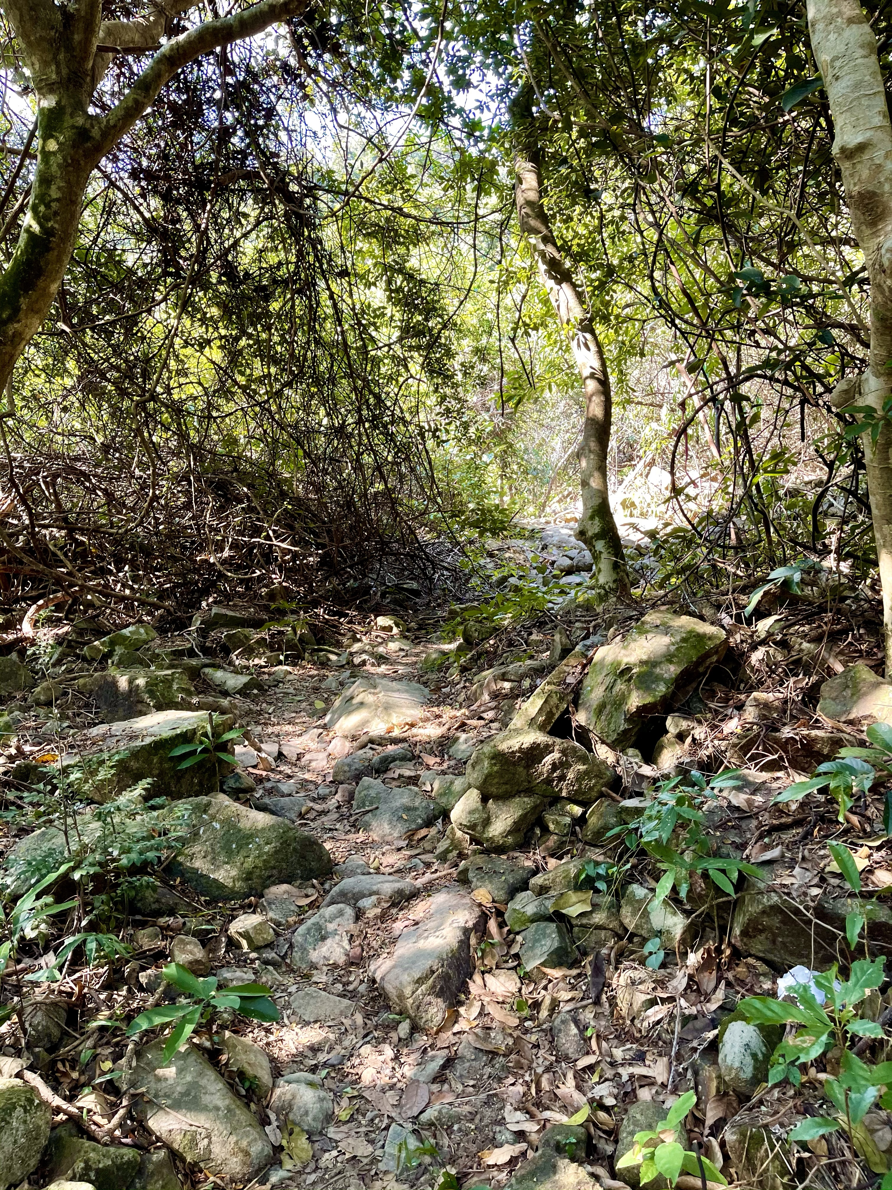 Hong Kong Hiking Lover
