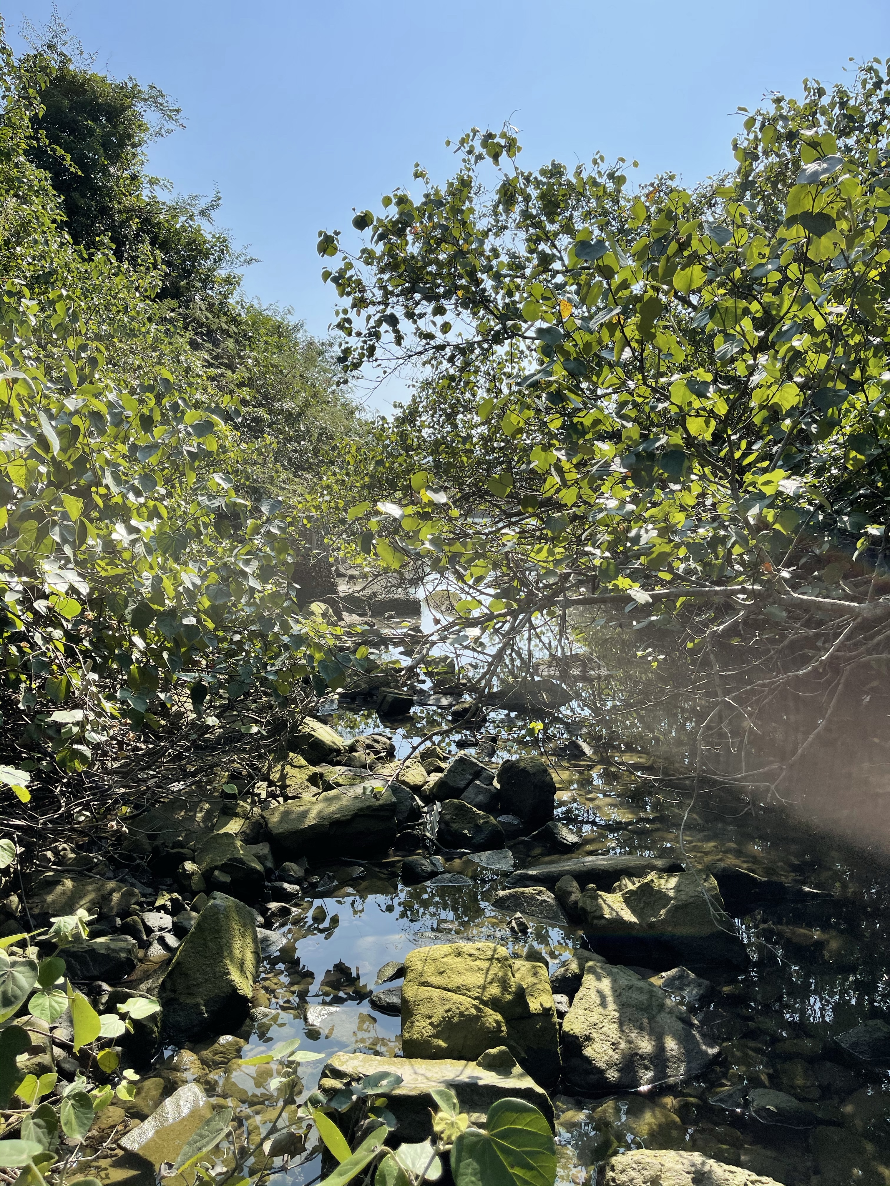 Hong Kong Hiking Lover