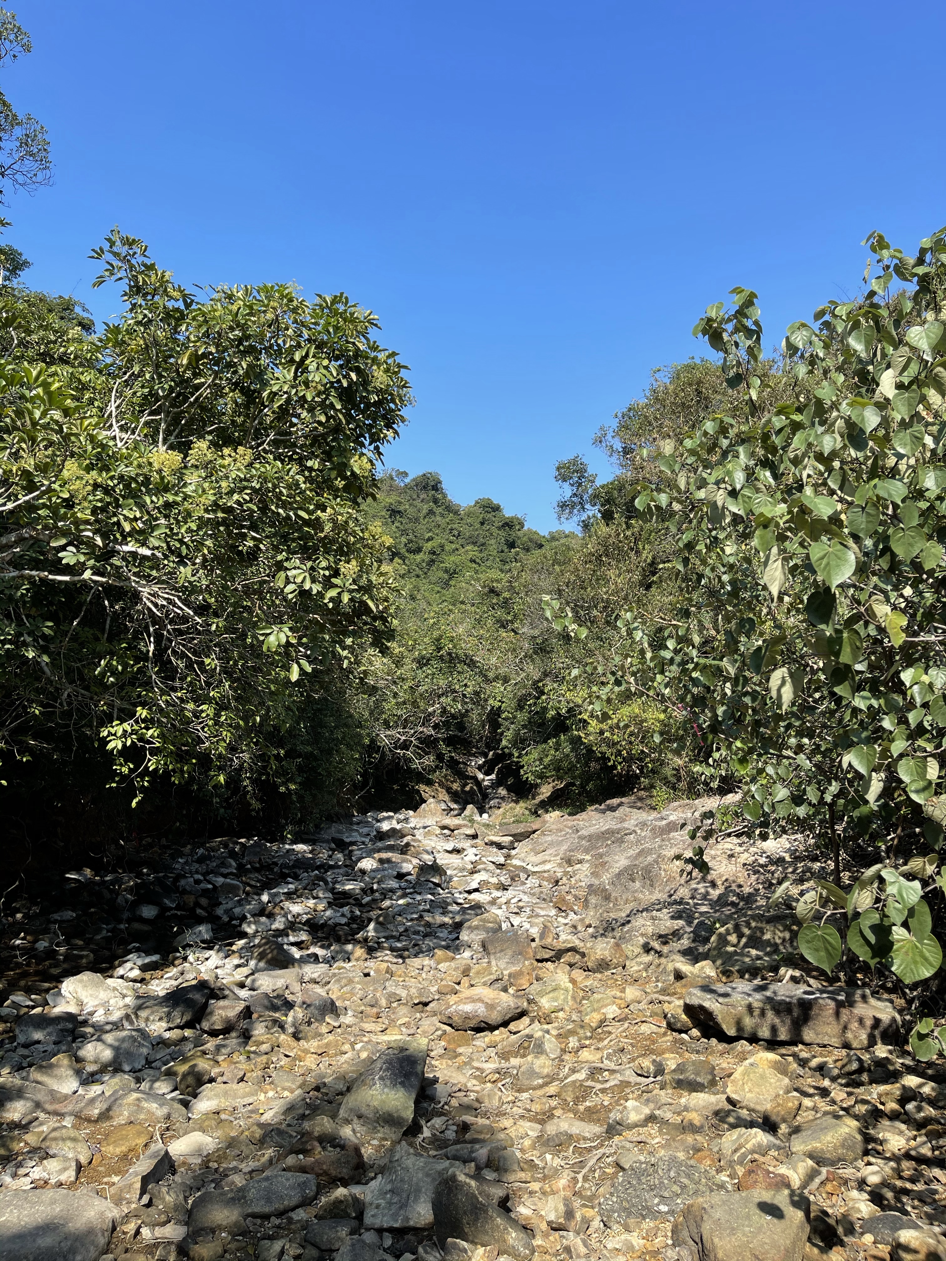 Hong Kong Hiking Lover