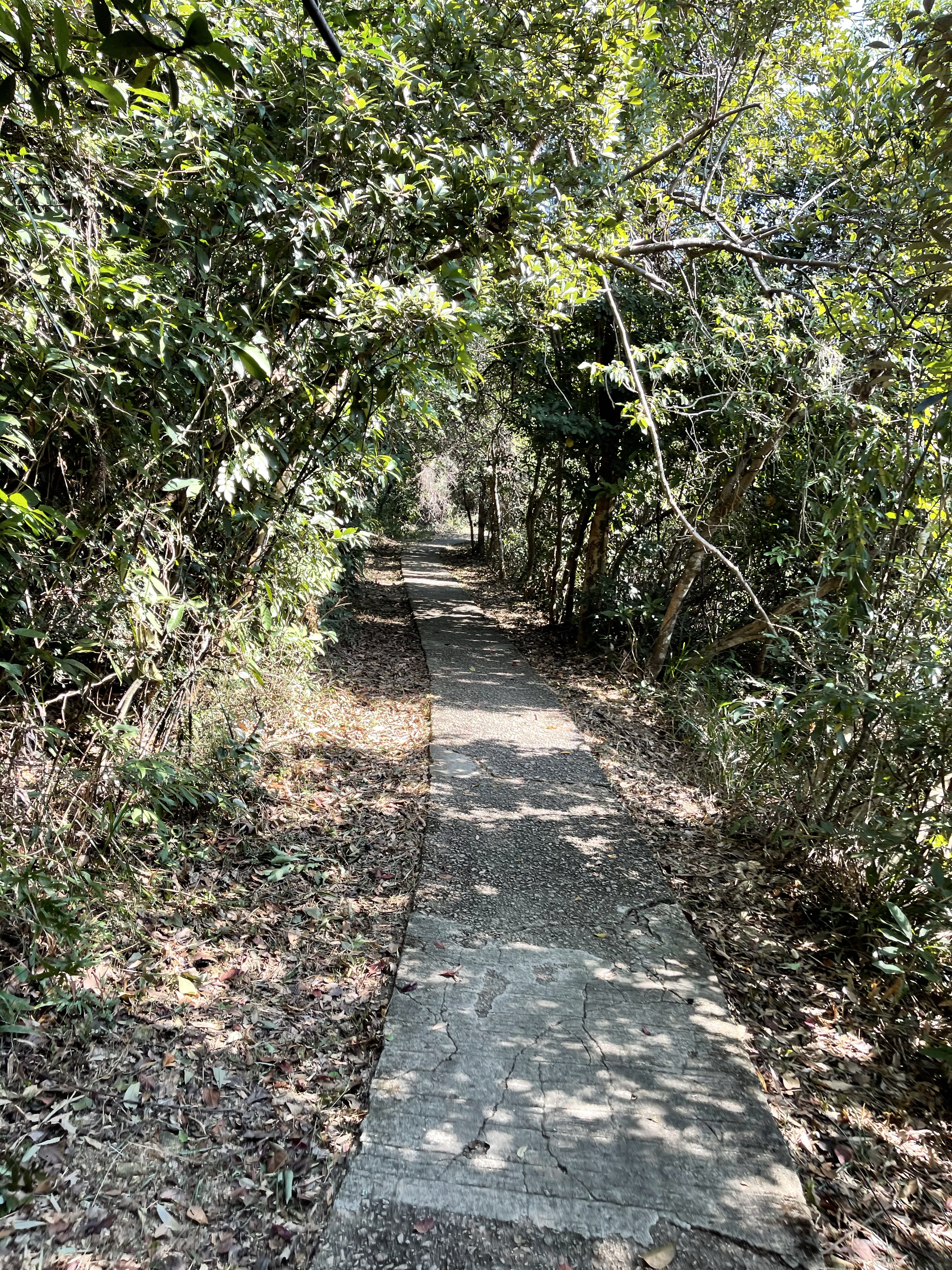 Hong Kong Hiking Lover