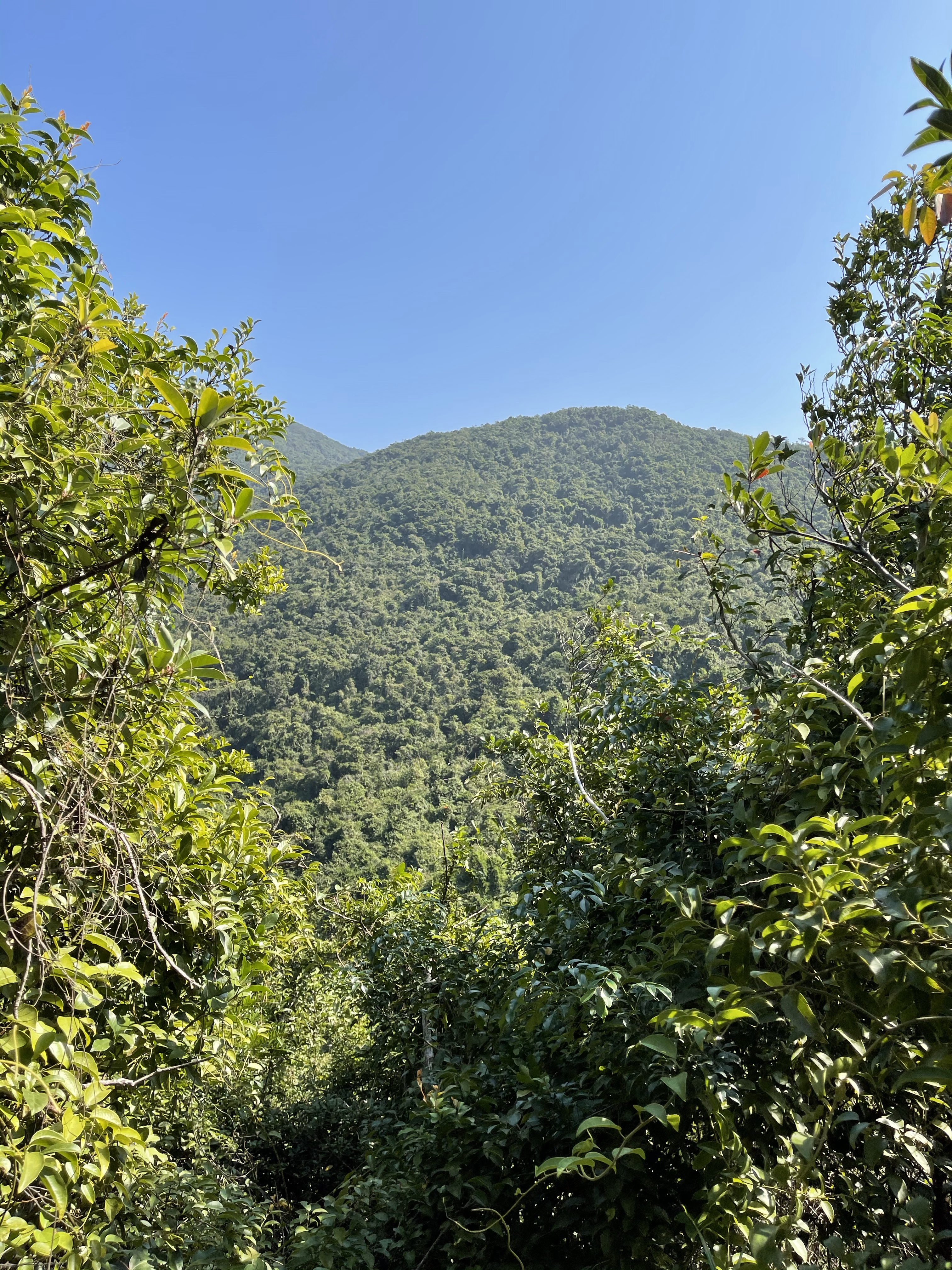 Hong Kong Hiking Lover