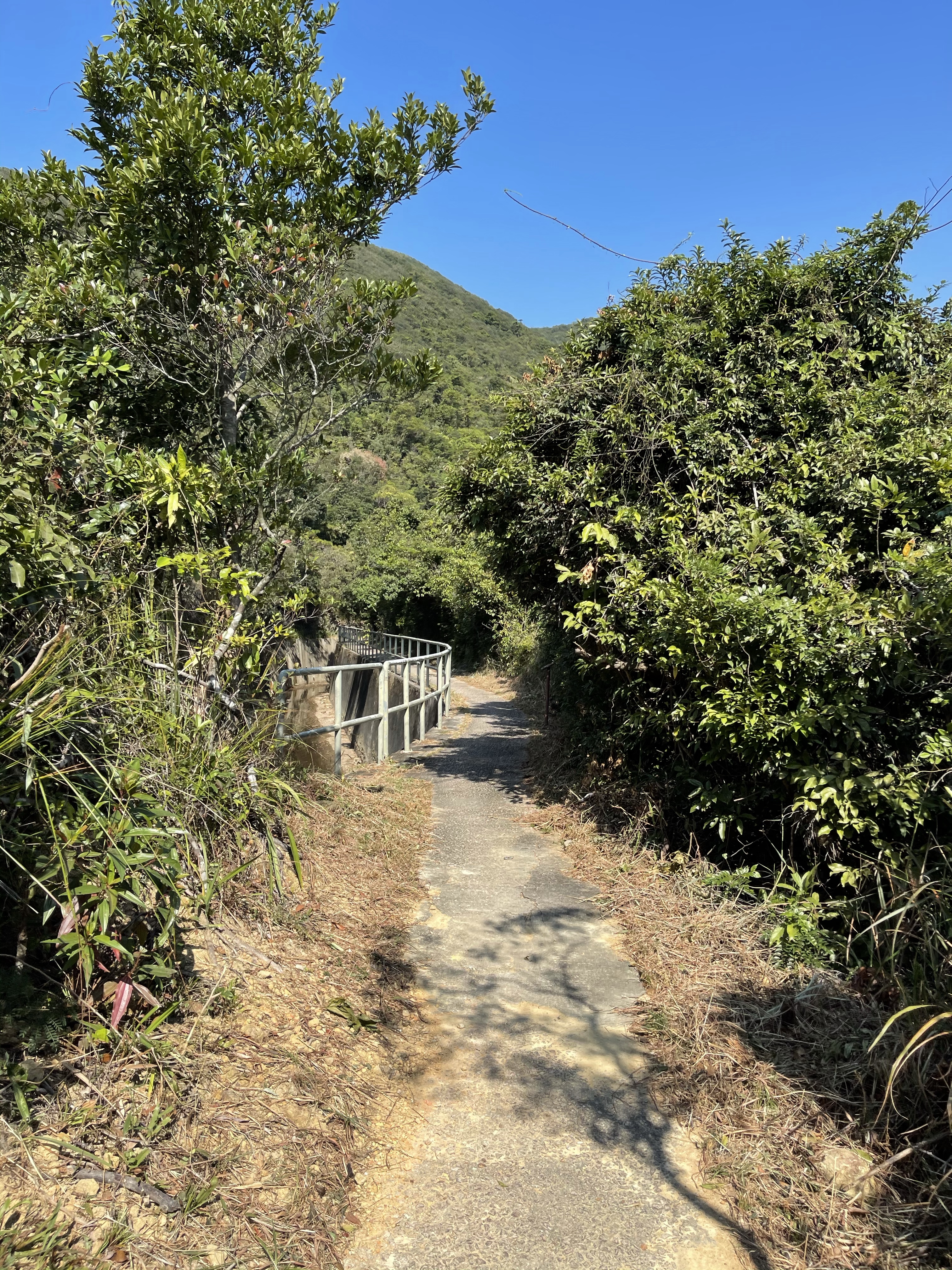Hong Kong Hiking Lover