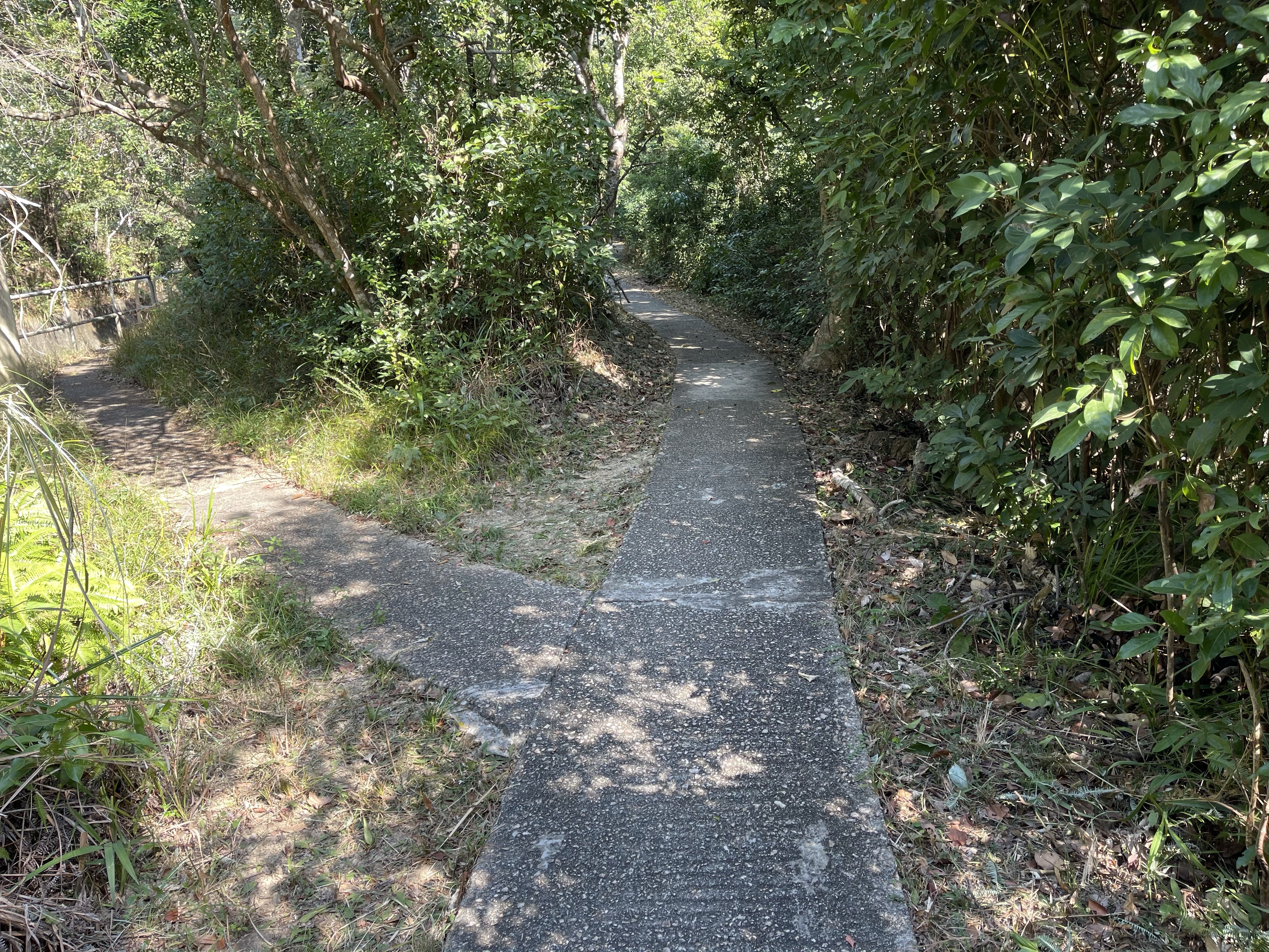 Hong Kong Hiking Lover