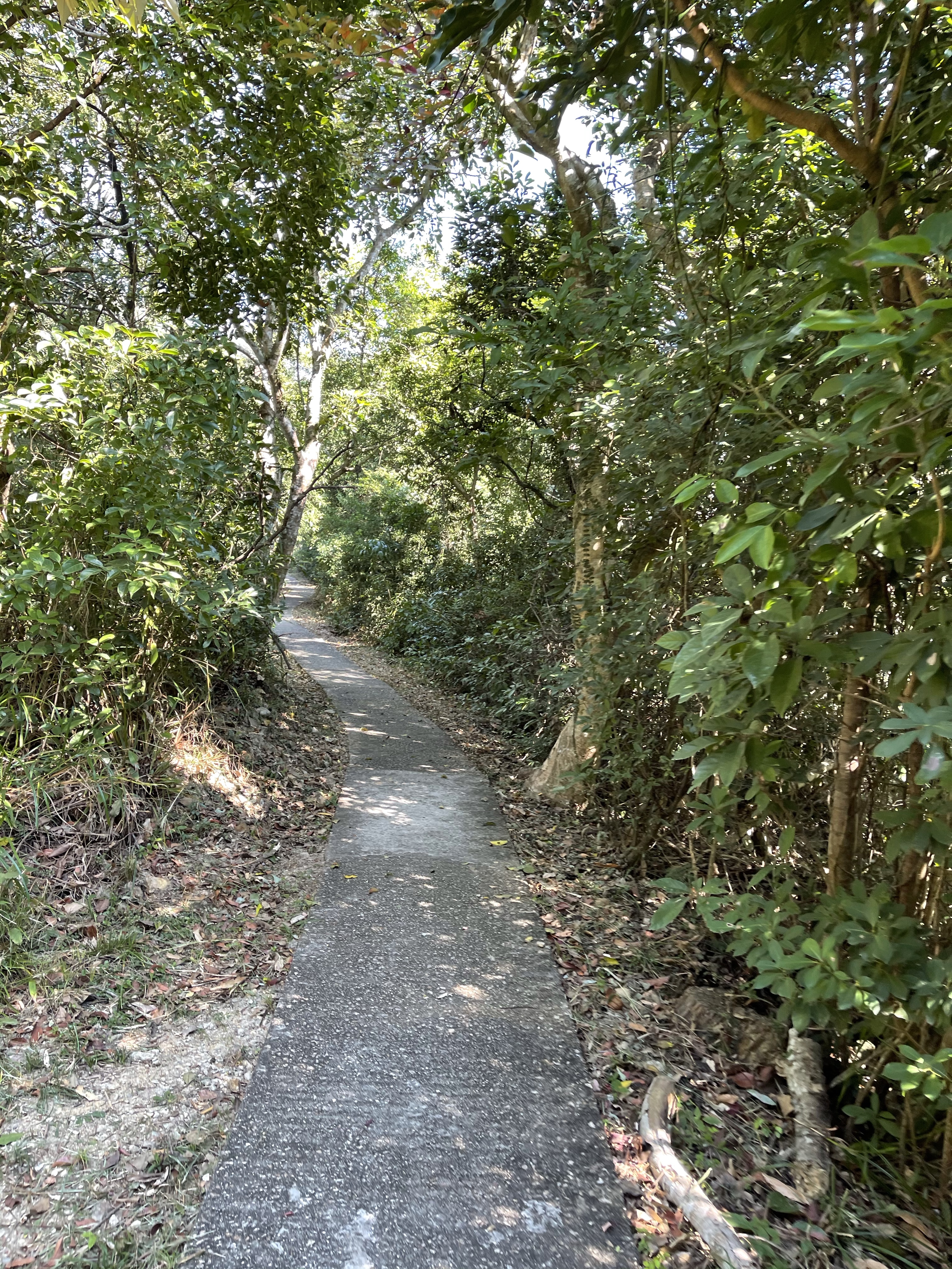Hong Kong Hiking Lover